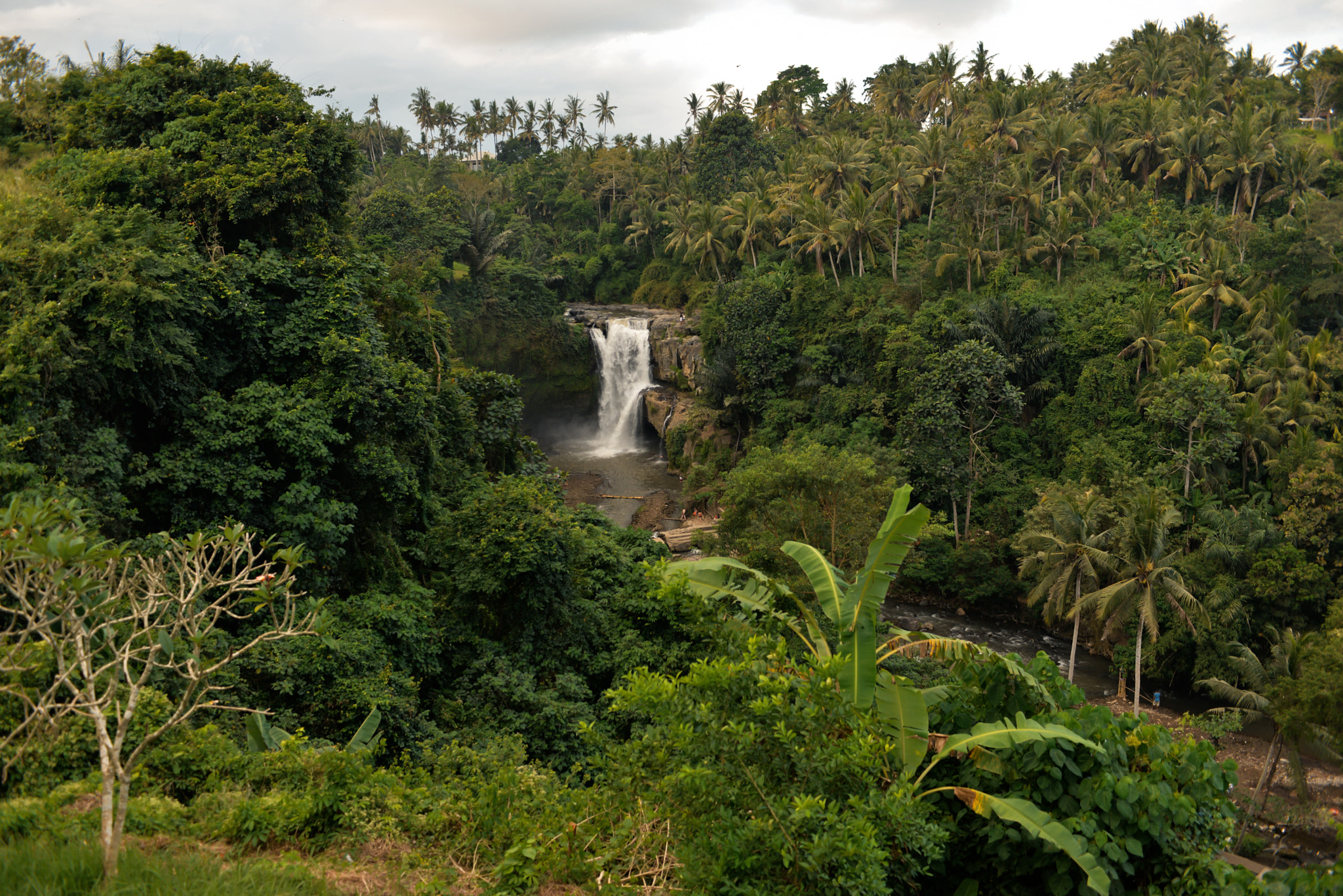Nikon AF-S Nikkor 28-70mm F2.8 ED-IF sample photo. Bali island, indonesia photography