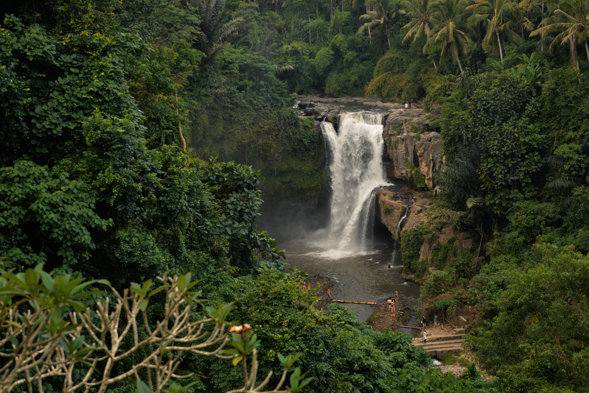 Nikon AF-S Nikkor 28-70mm F2.8 ED-IF sample photo. Bali island, indonesia photography