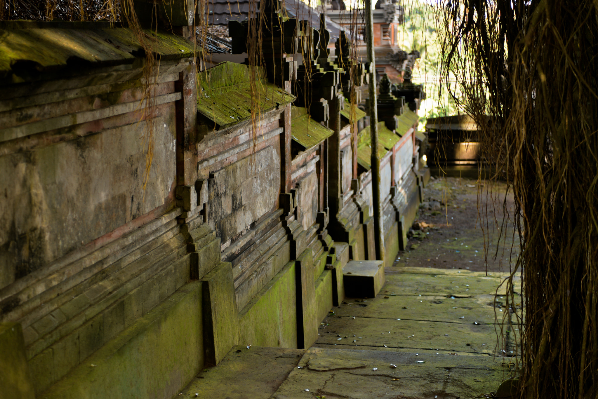 Nikon AF-S Nikkor 28-70mm F2.8 ED-IF sample photo. Bali island, indonesia photography
