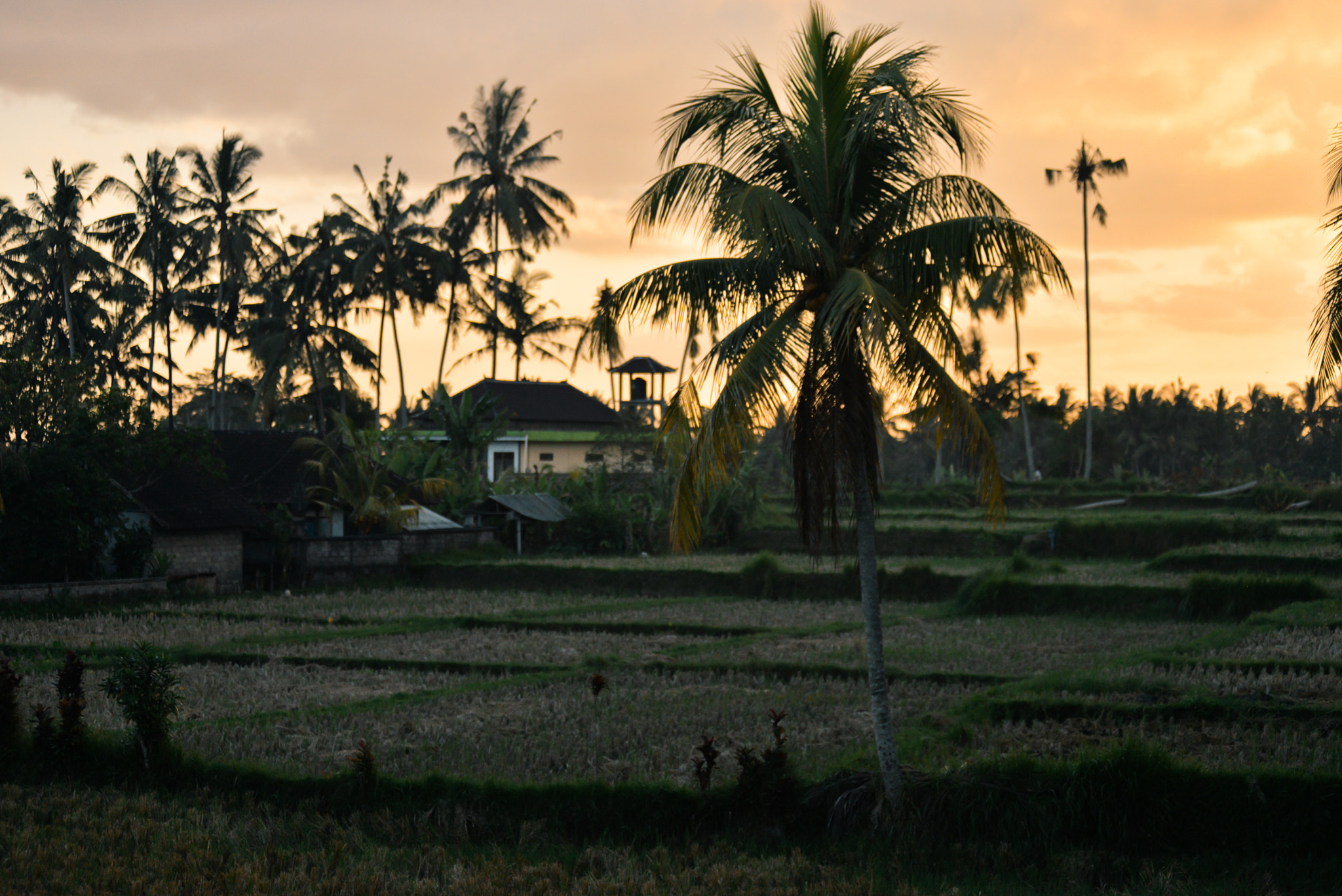 Nikon AF-Nikkor 80-200mm F2.8D ED sample photo. Bali island, indonesia photography