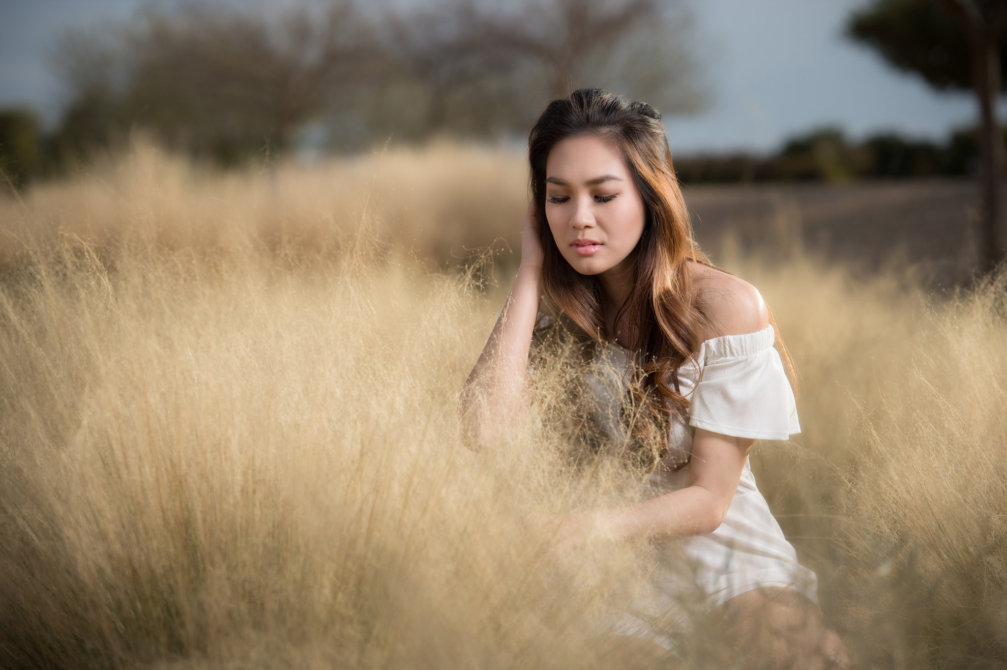 Nikon D4S sample photo. Gold field photography