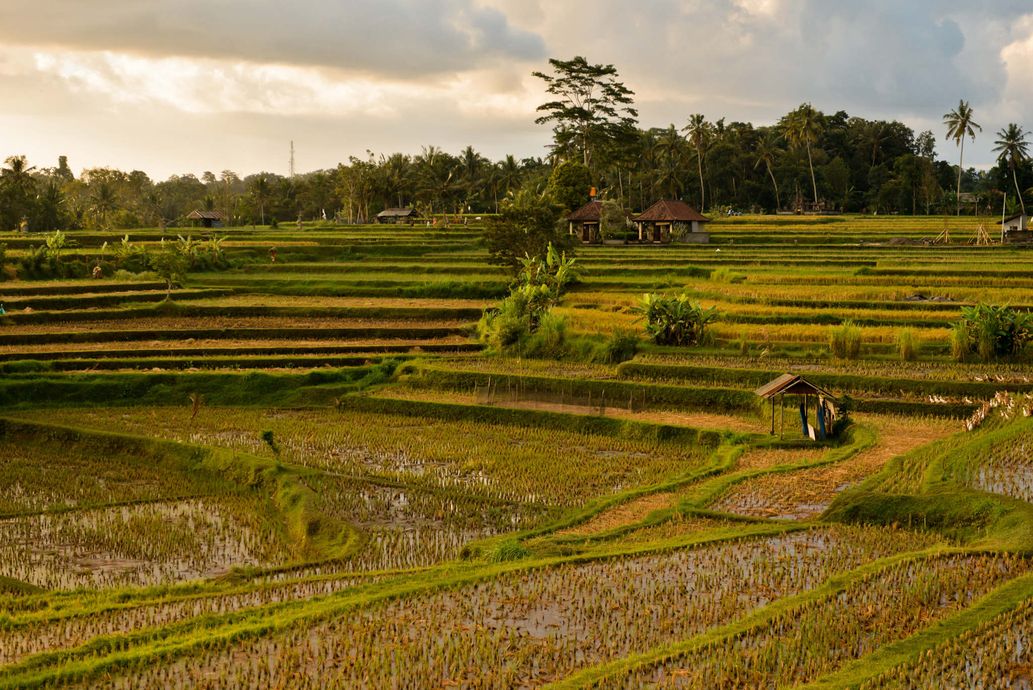 Nikon D610 sample photo. Bali island, indonesia photography