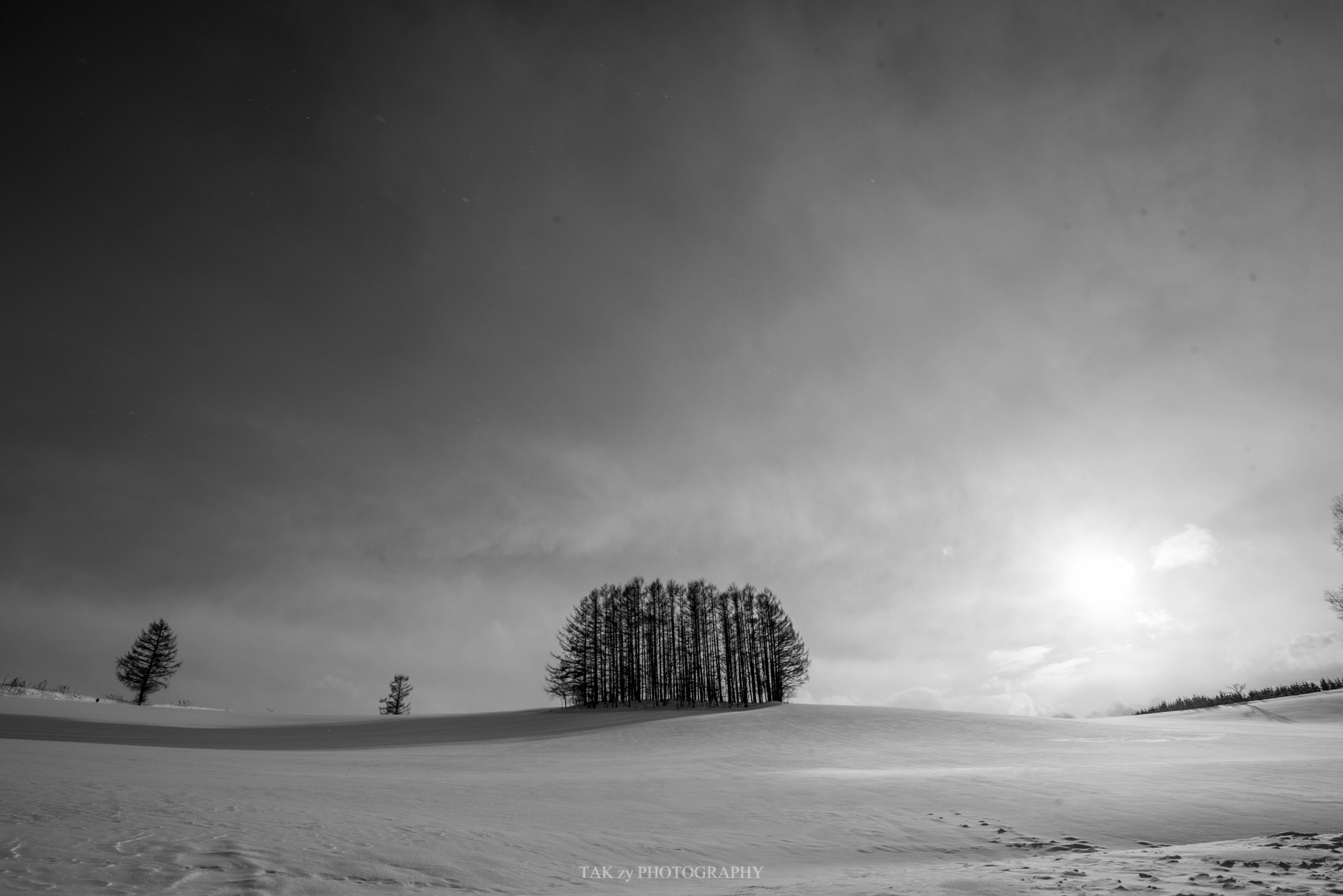 Nikon AF-S Nikkor 18-35mm F3.5-4.5G ED sample photo. Mild seven ”trees” photography