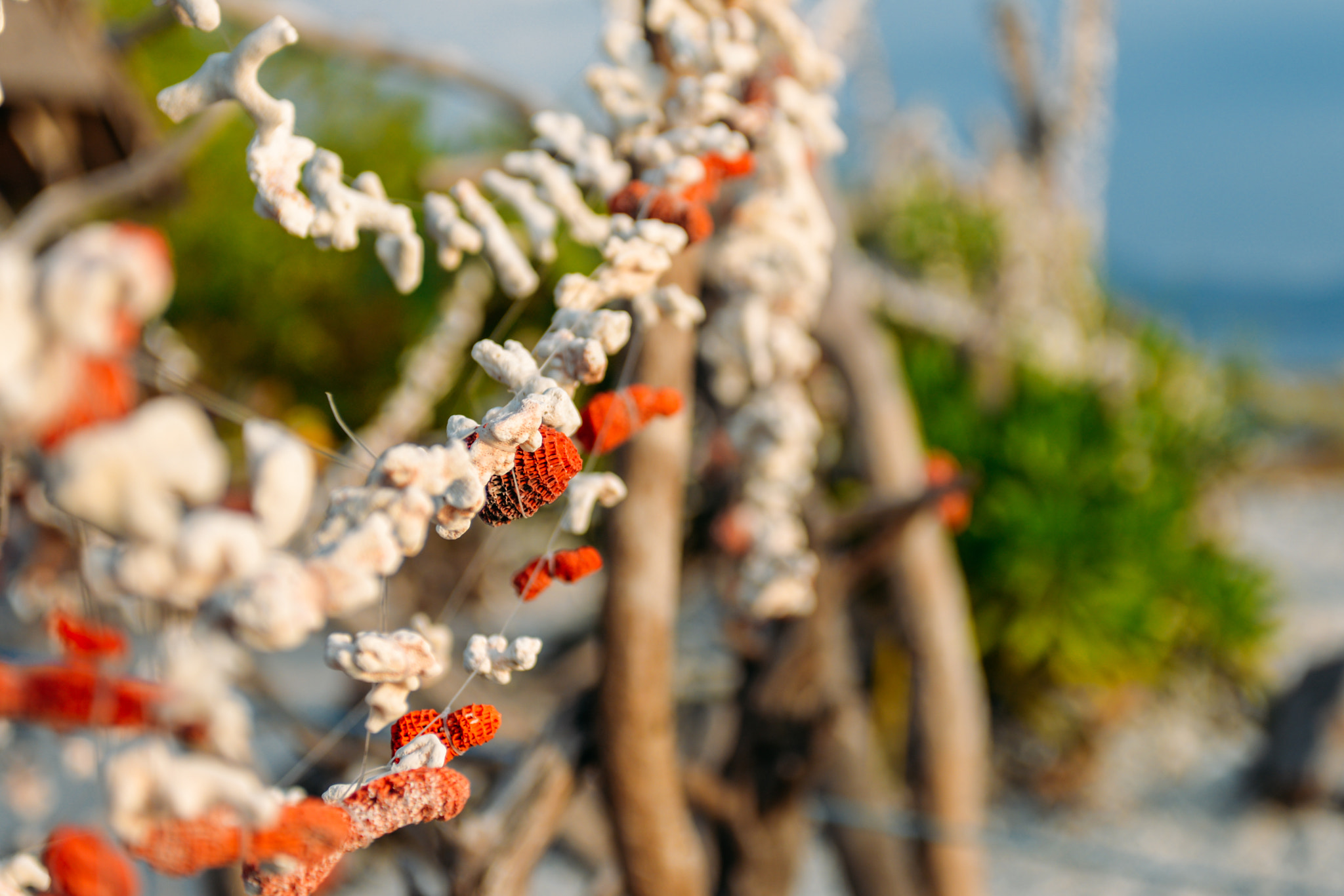 Nikon AF-S Nikkor 28-70mm F2.8 ED-IF sample photo. Bali island, indonesia photography
