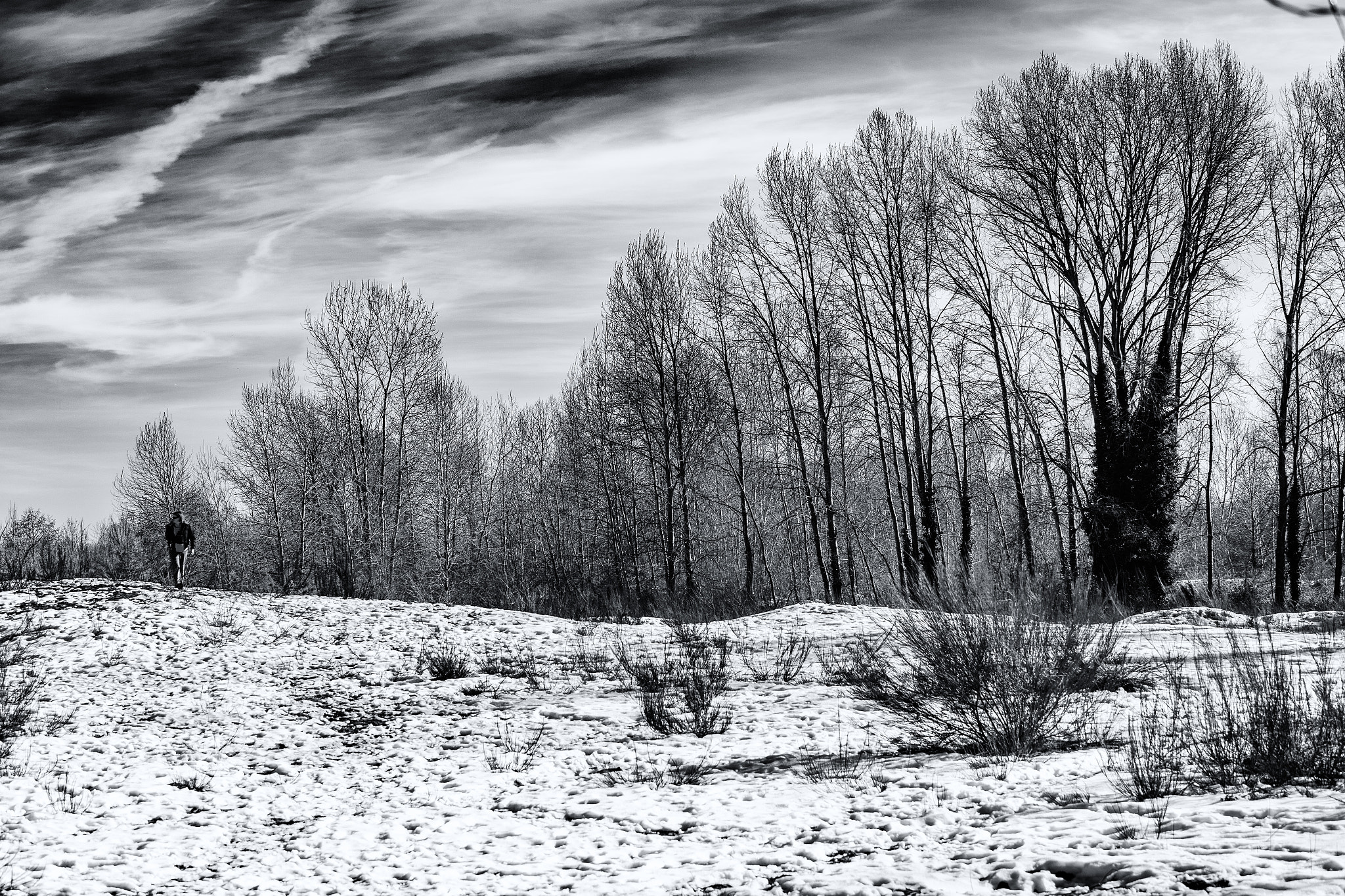 Canon EOS 6D sample photo. A winter symphony photography
