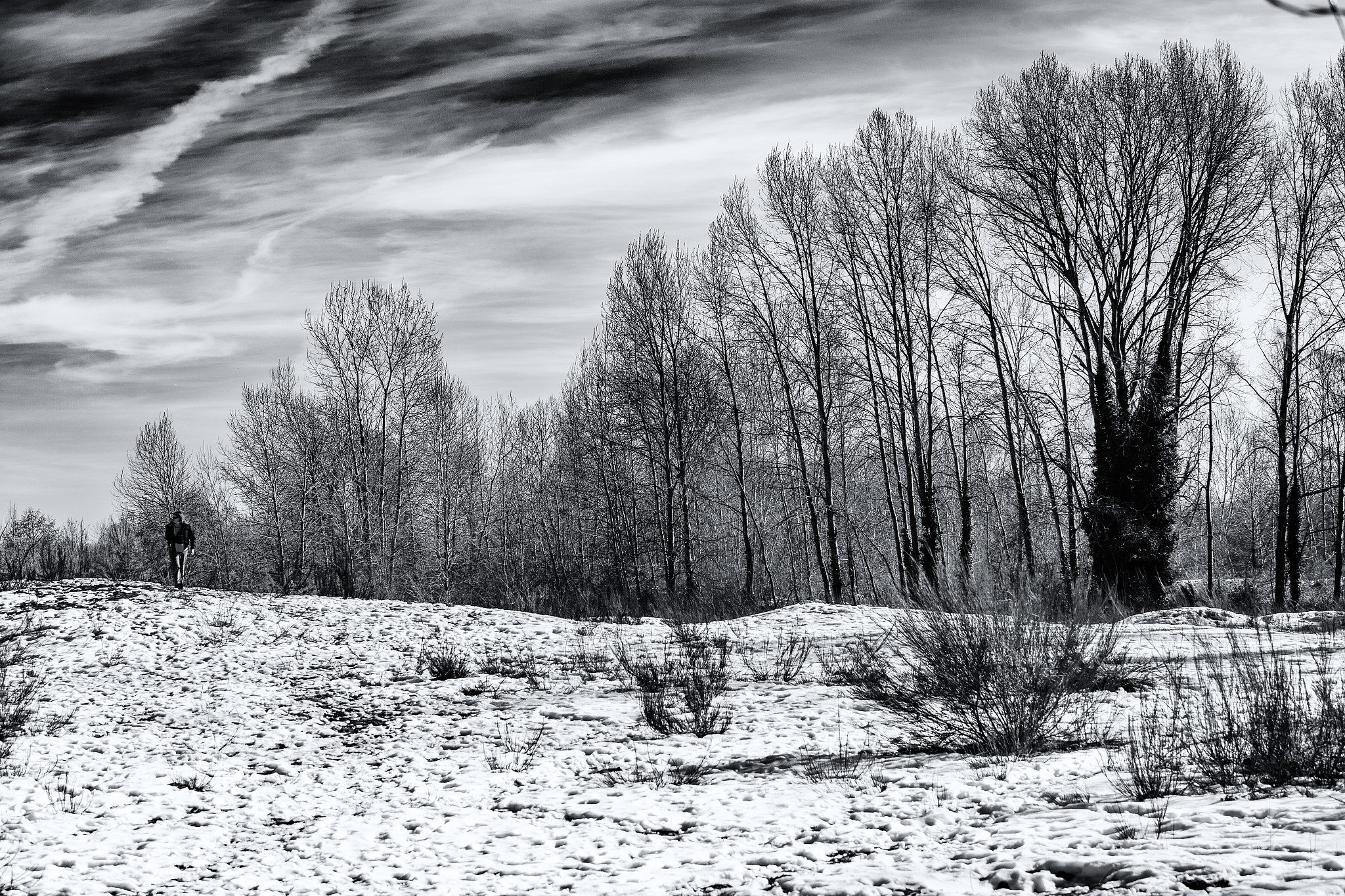 Canon EOS 6D + Canon EF 80-200mm f/2.8L sample photo. A winter symphony photography