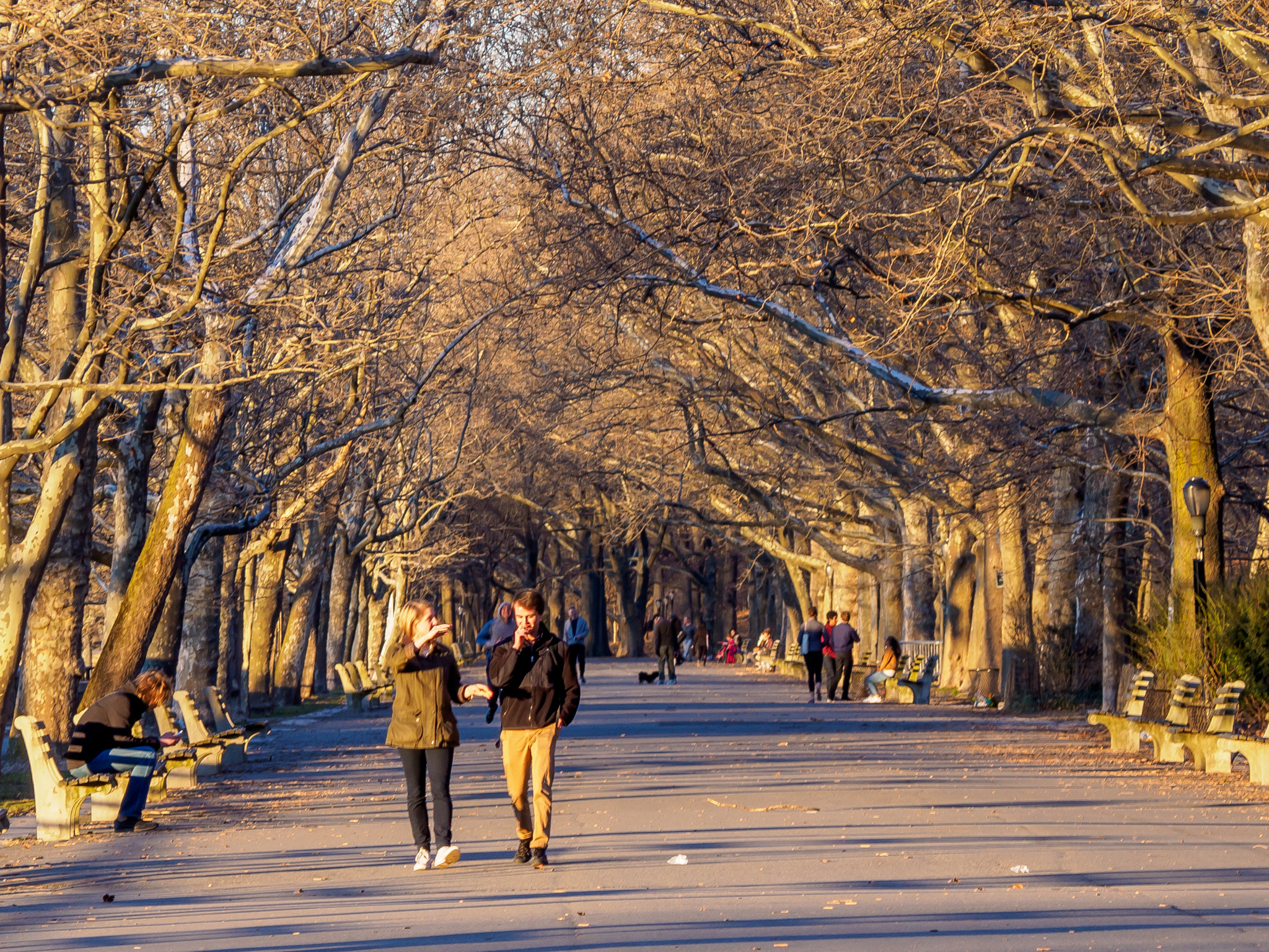 Olympus OM-D E-M5 II sample photo. Afternoon in the park photography