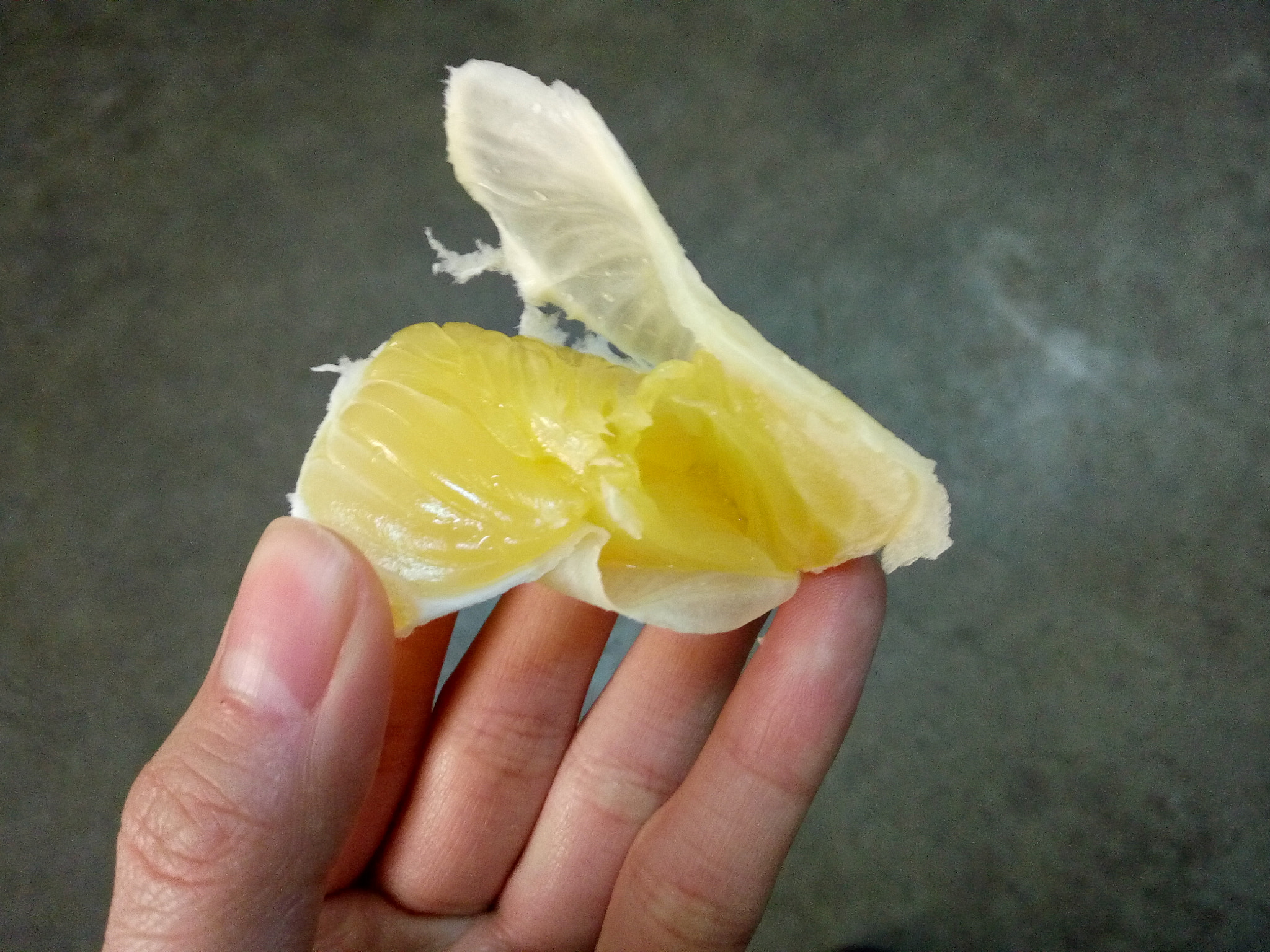 OPPO R7 sample photo. A piece of grapefruit photography