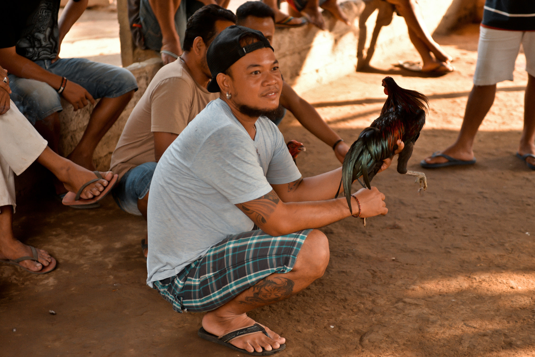 Nikon AF-S Nikkor 28-70mm F2.8 ED-IF sample photo. Cockfights on bali, indonesia photography