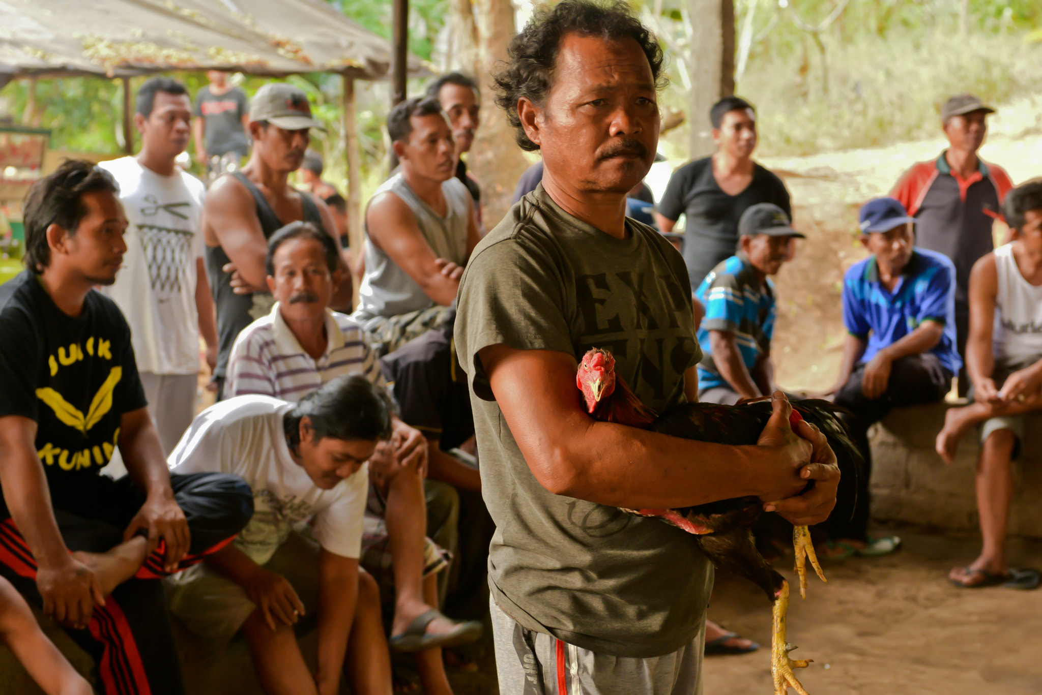 Nikon D610 sample photo. Cockfights on bali, indonesia photography