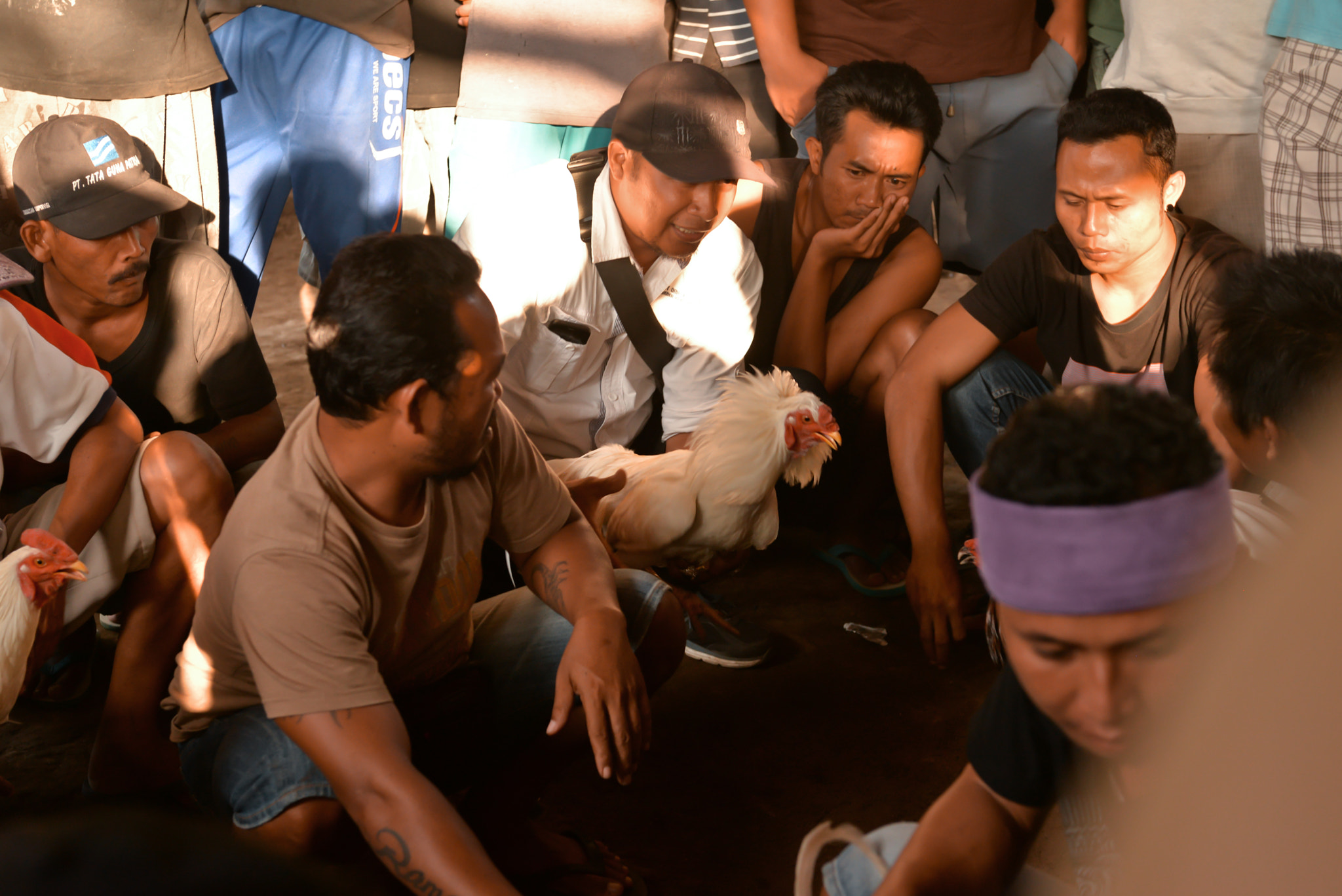 Nikon AF-S Nikkor 28-70mm F2.8 ED-IF sample photo. Cockfights on bali, indonesia photography