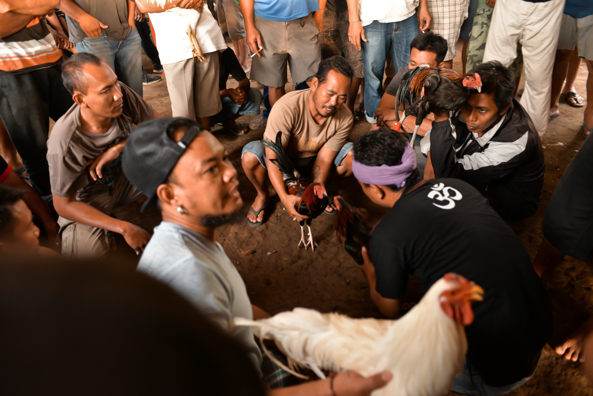 Nikon AF-S Nikkor 28-70mm F2.8 ED-IF sample photo. Cockfights on bali, indonesia photography