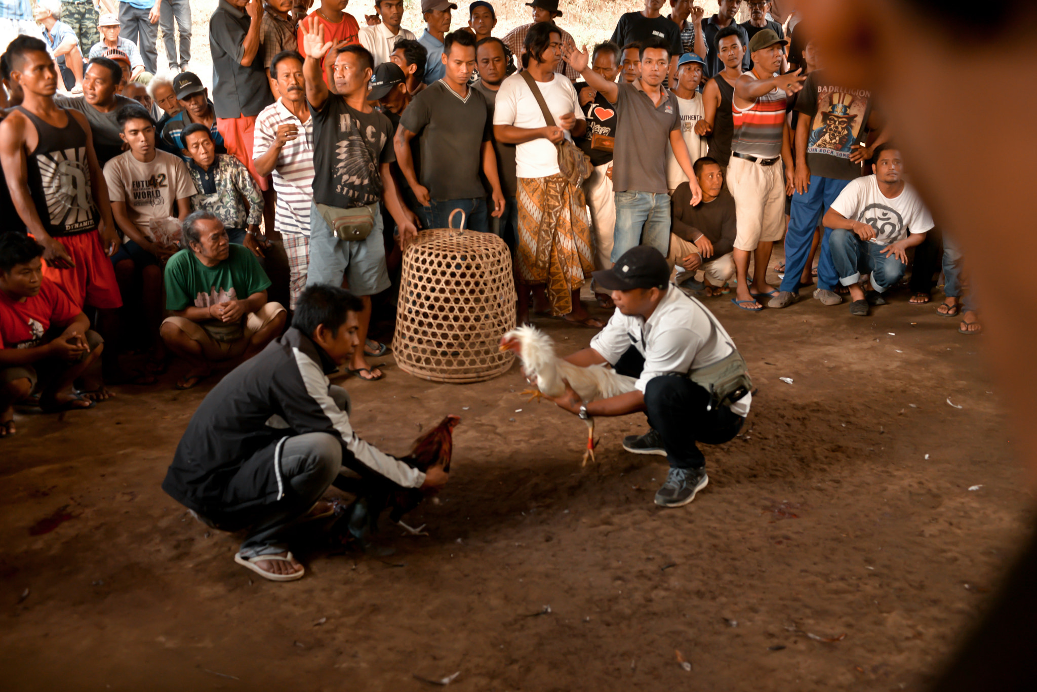Nikon AF-S Nikkor 28-70mm F2.8 ED-IF sample photo. Cockfights on bali, indonesia photography