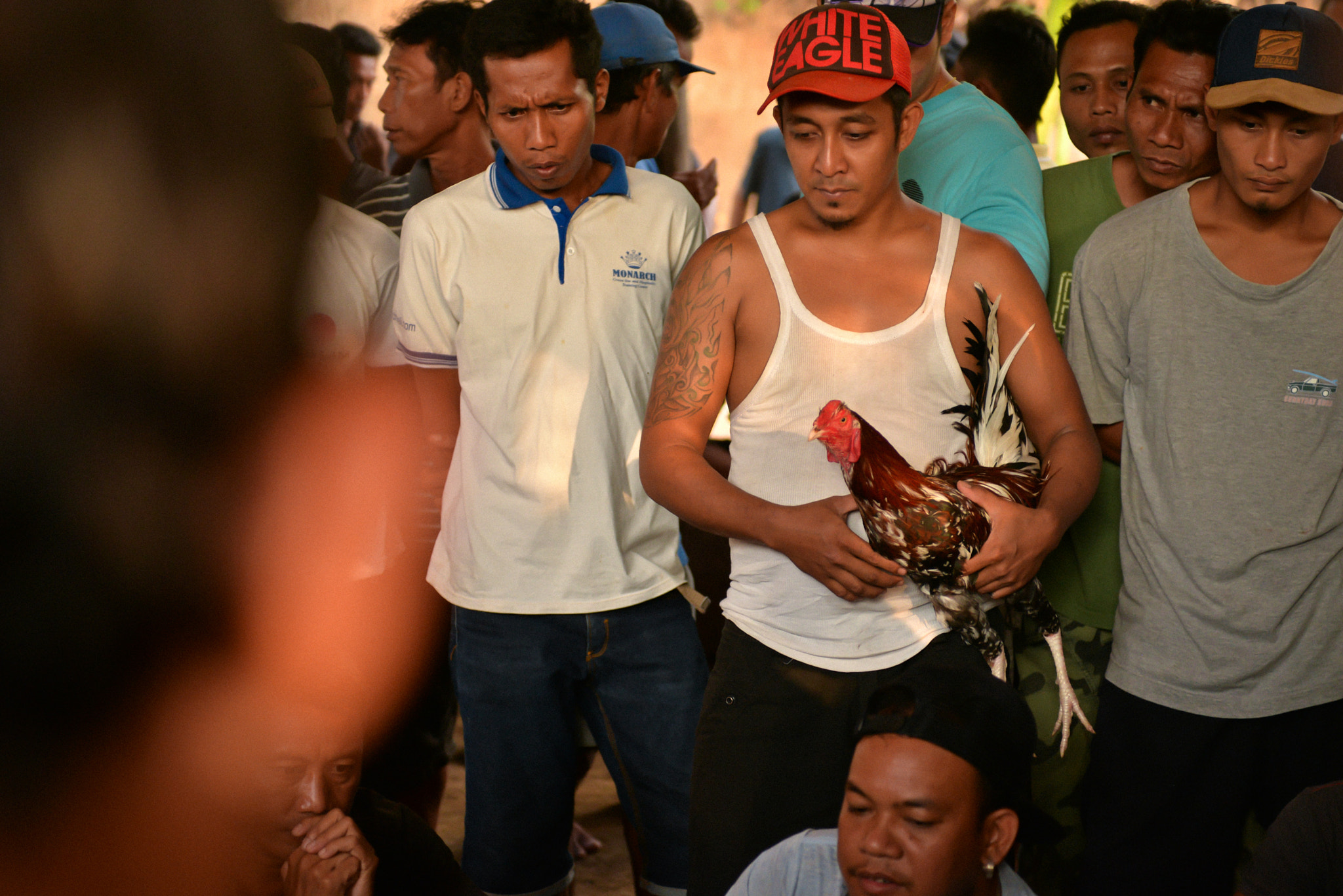 Nikon AF-S Nikkor 28-70mm F2.8 ED-IF sample photo. Cockfights on bali, indonesia photography