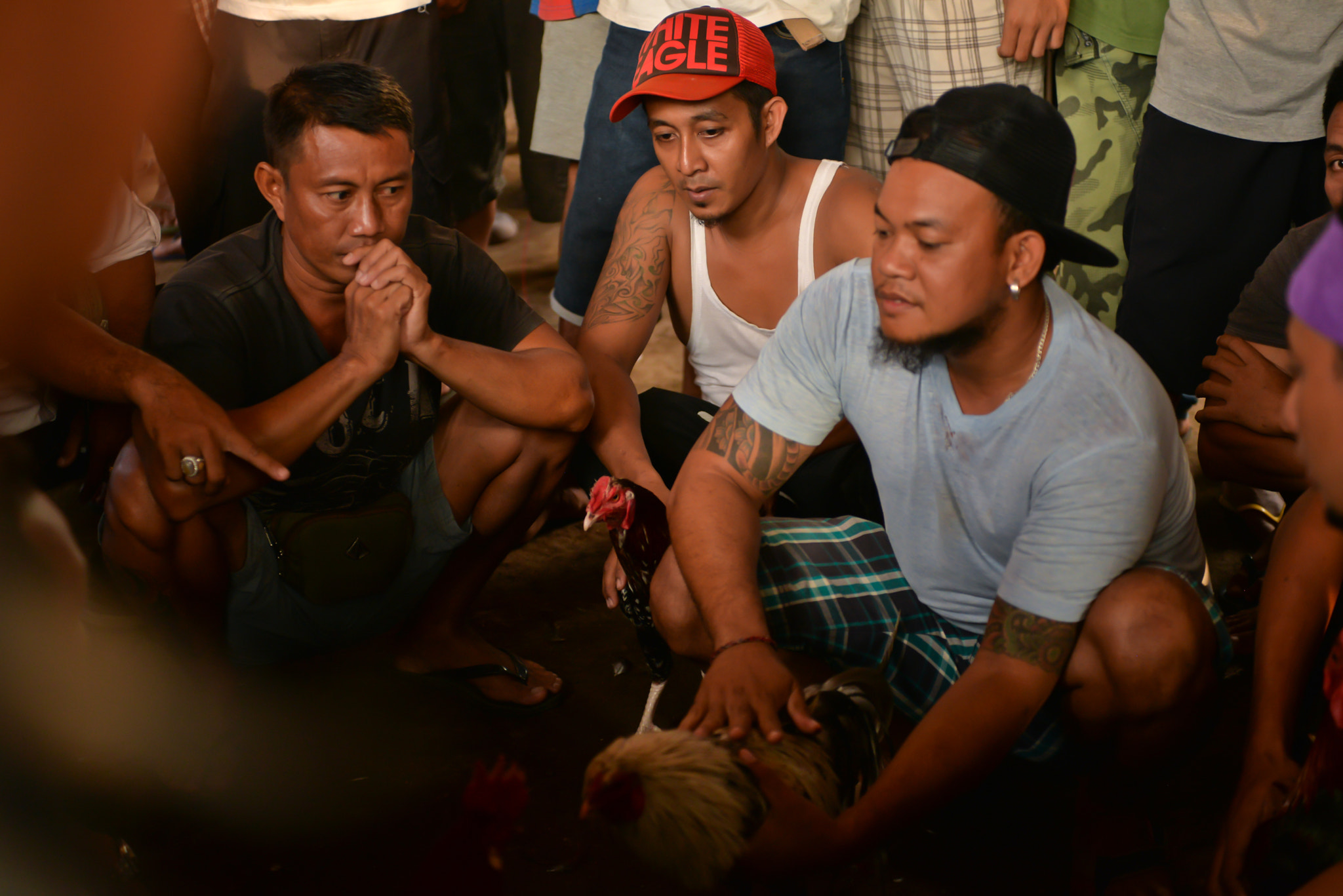 Nikon AF-S Nikkor 28-70mm F2.8 ED-IF sample photo. Cockfights on bali, indonesia photography