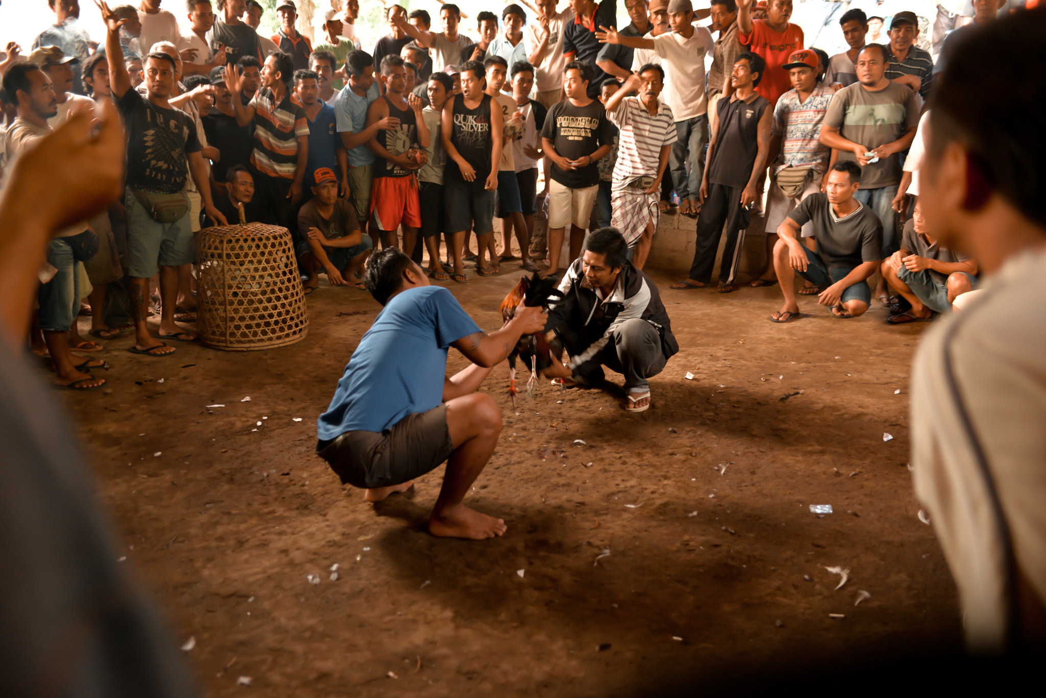 Nikon AF-S Nikkor 28-70mm F2.8 ED-IF sample photo. Cockfights on bali, indonesia photography