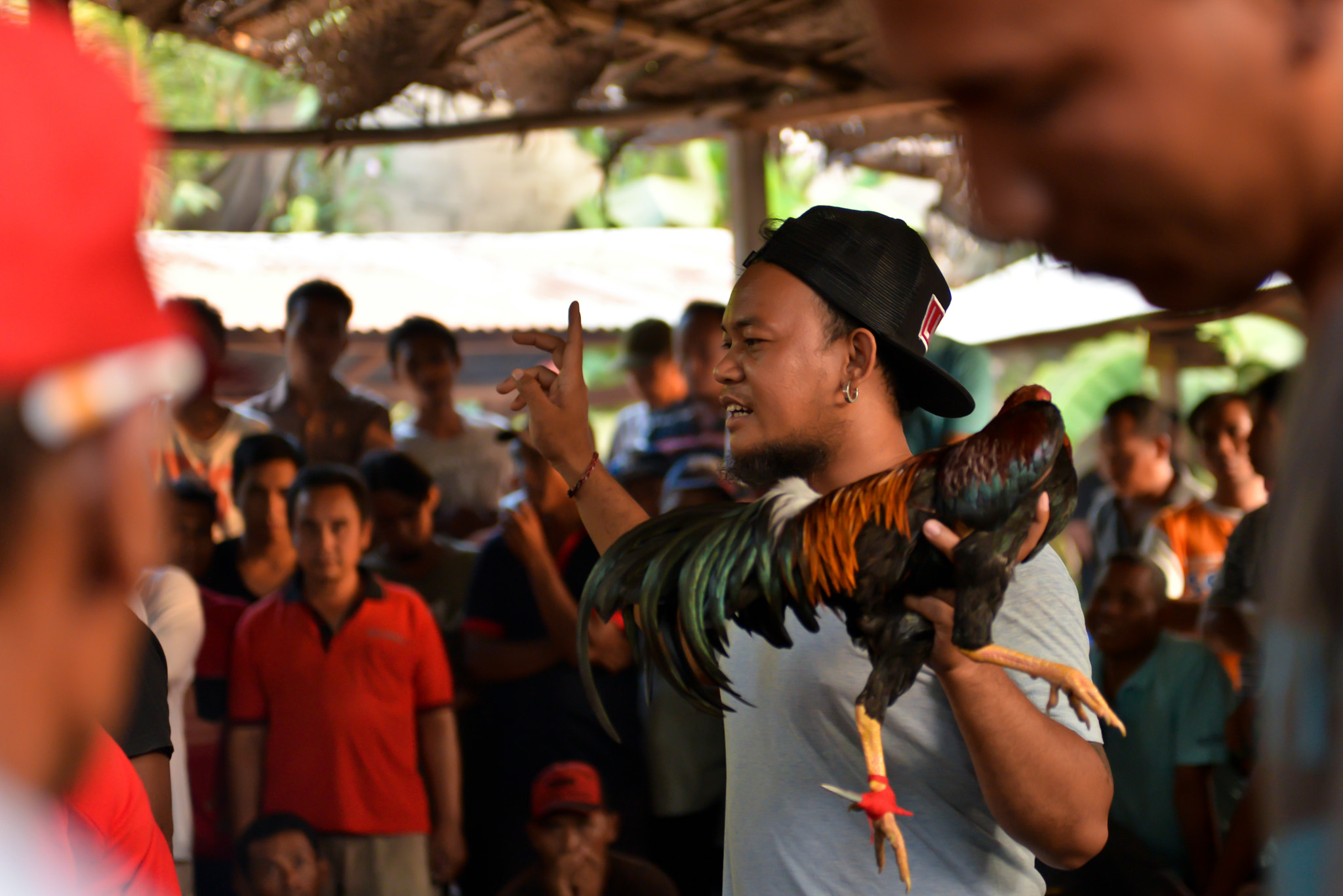 Nikon AF-S Nikkor 28-70mm F2.8 ED-IF sample photo. Cockfights on bali, indonesia photography