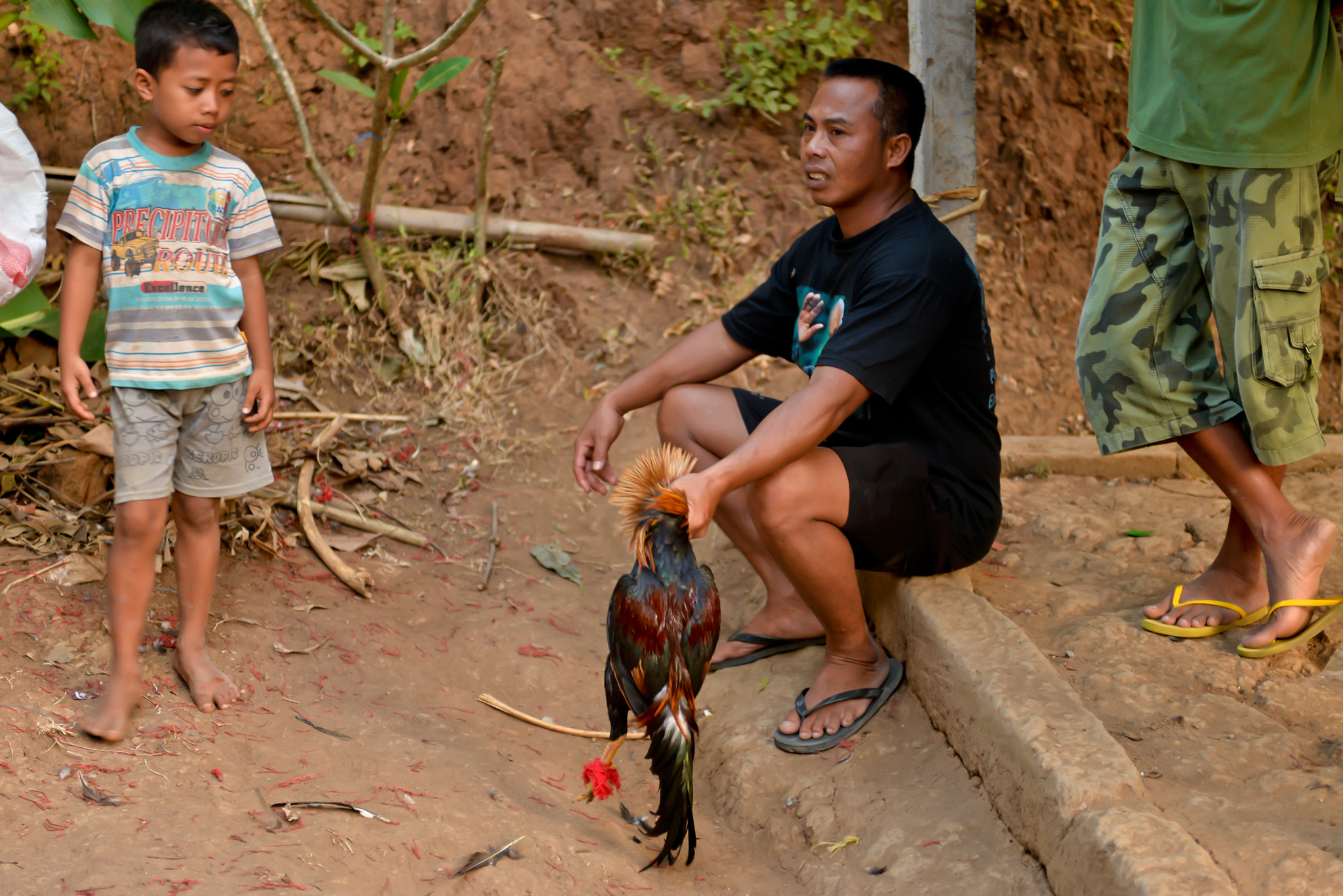 Nikon D610 sample photo. Cockfights on bali, indonesia photography