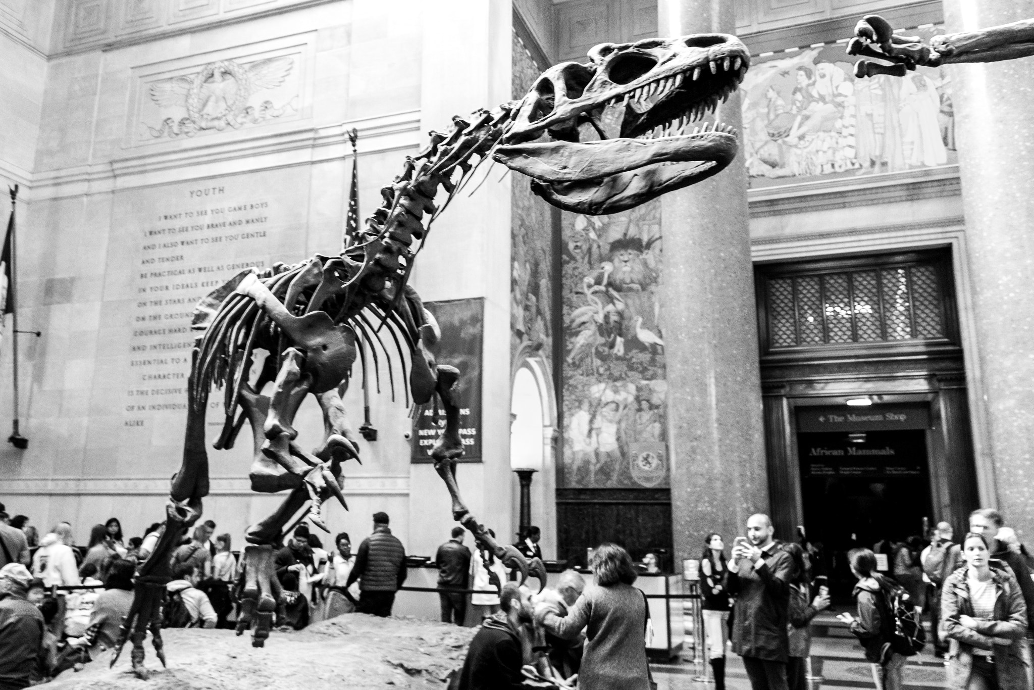 Canon EF-S 18-135mm F3.5-5.6 IS sample photo. Velociraptor photography