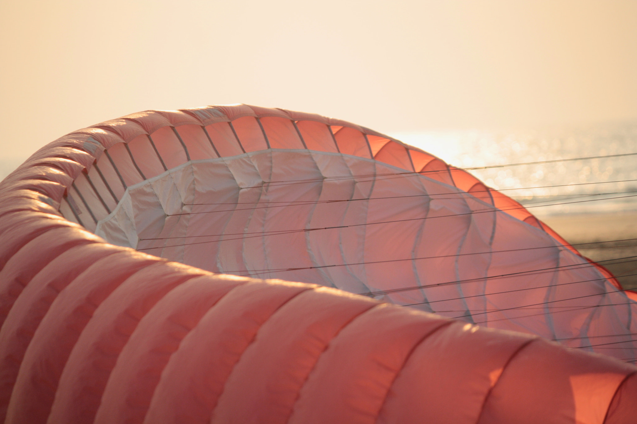 Canon EF-S 55-250mm F4-5.6 IS sample photo. Wings photography