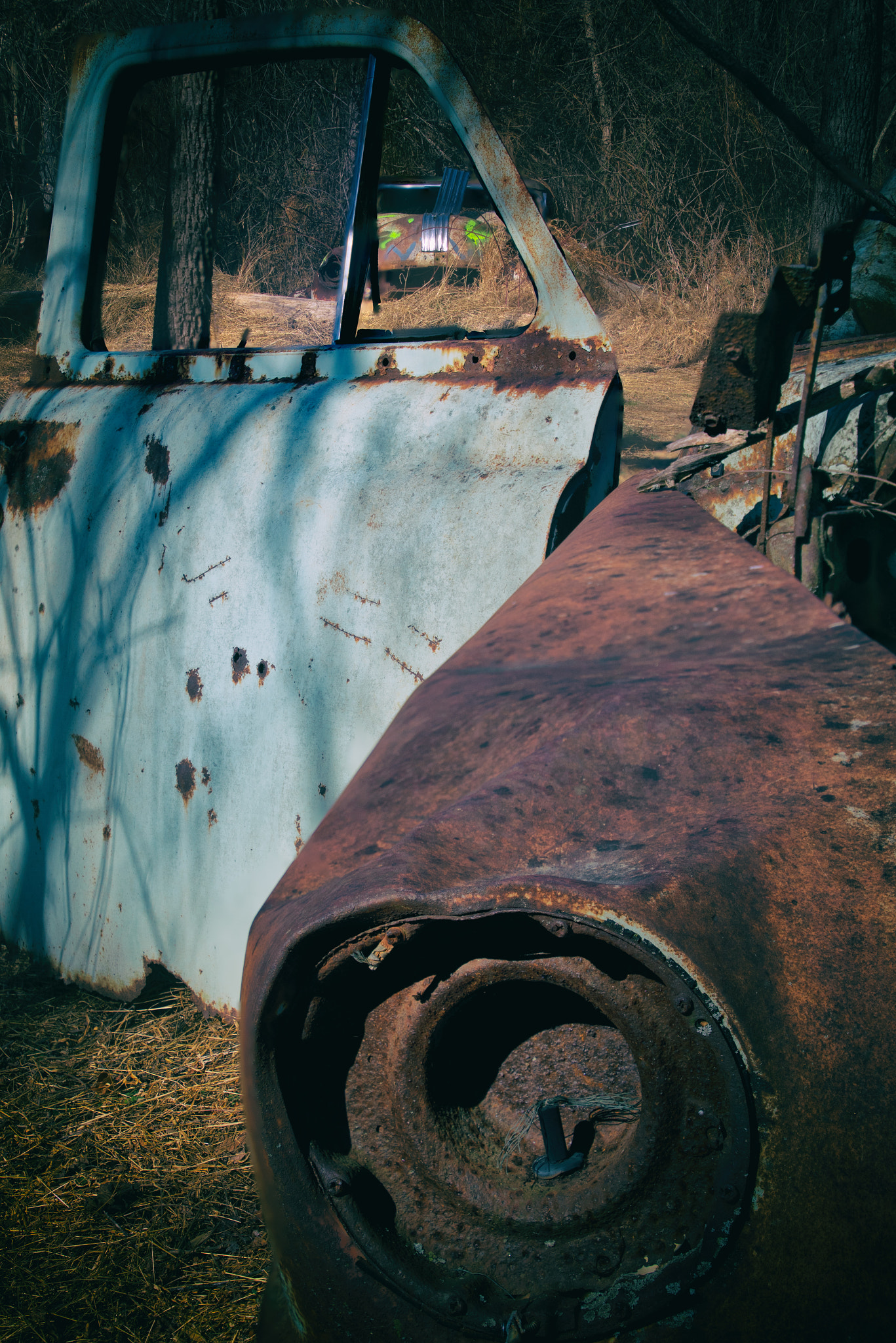 Canon EOS 7D Mark II + Tamron 16-300mm F3.5-6.3 Di II VC PZD Macro sample photo. Old abandoned cars, hidden on the side of walking trails, 1 photography