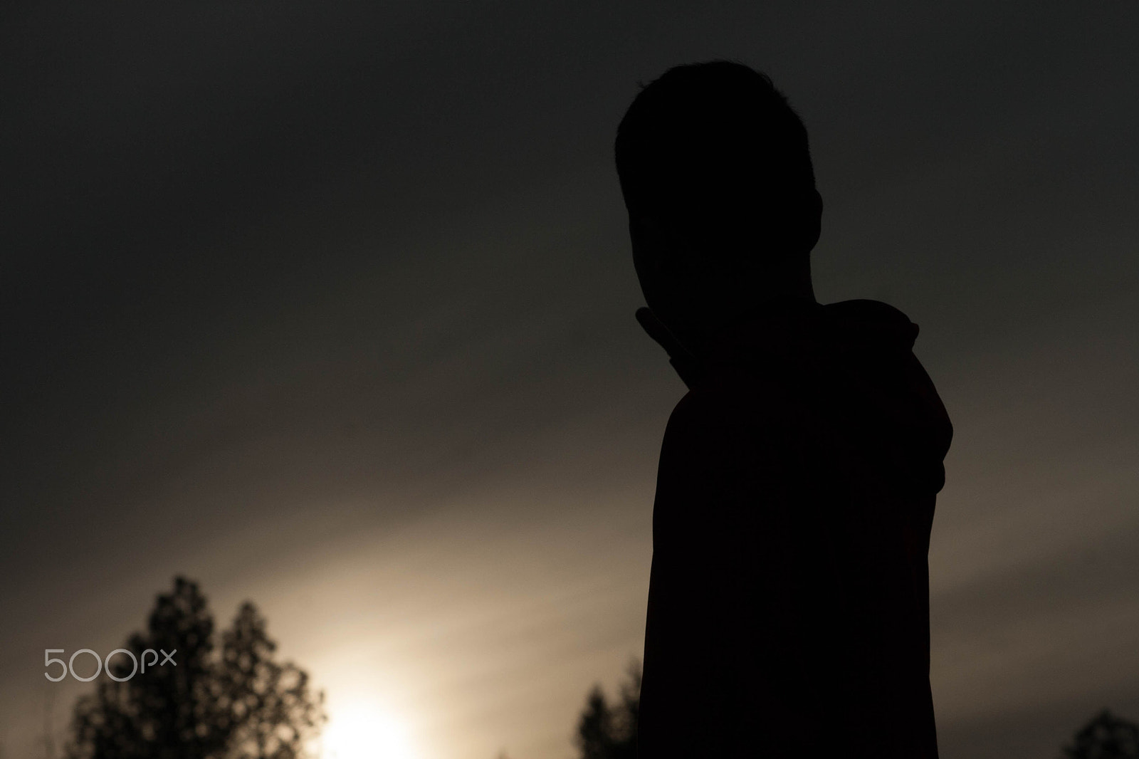 Canon EF 100mm F2.0 USM sample photo. Silhouette photography