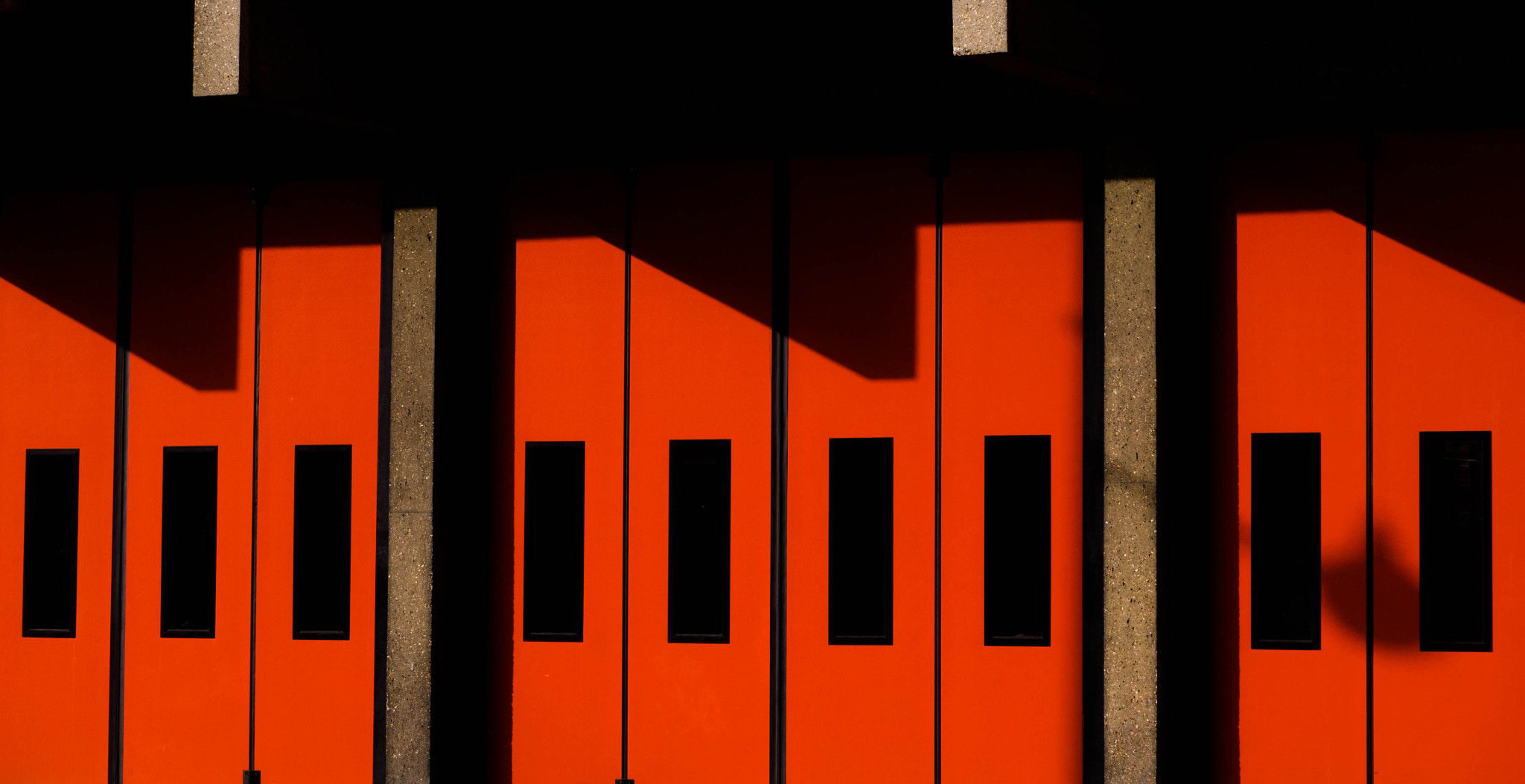 Panasonic Lumix G Vario 45-200mm F4-5.6 OIS sample photo. Rouge passion photography