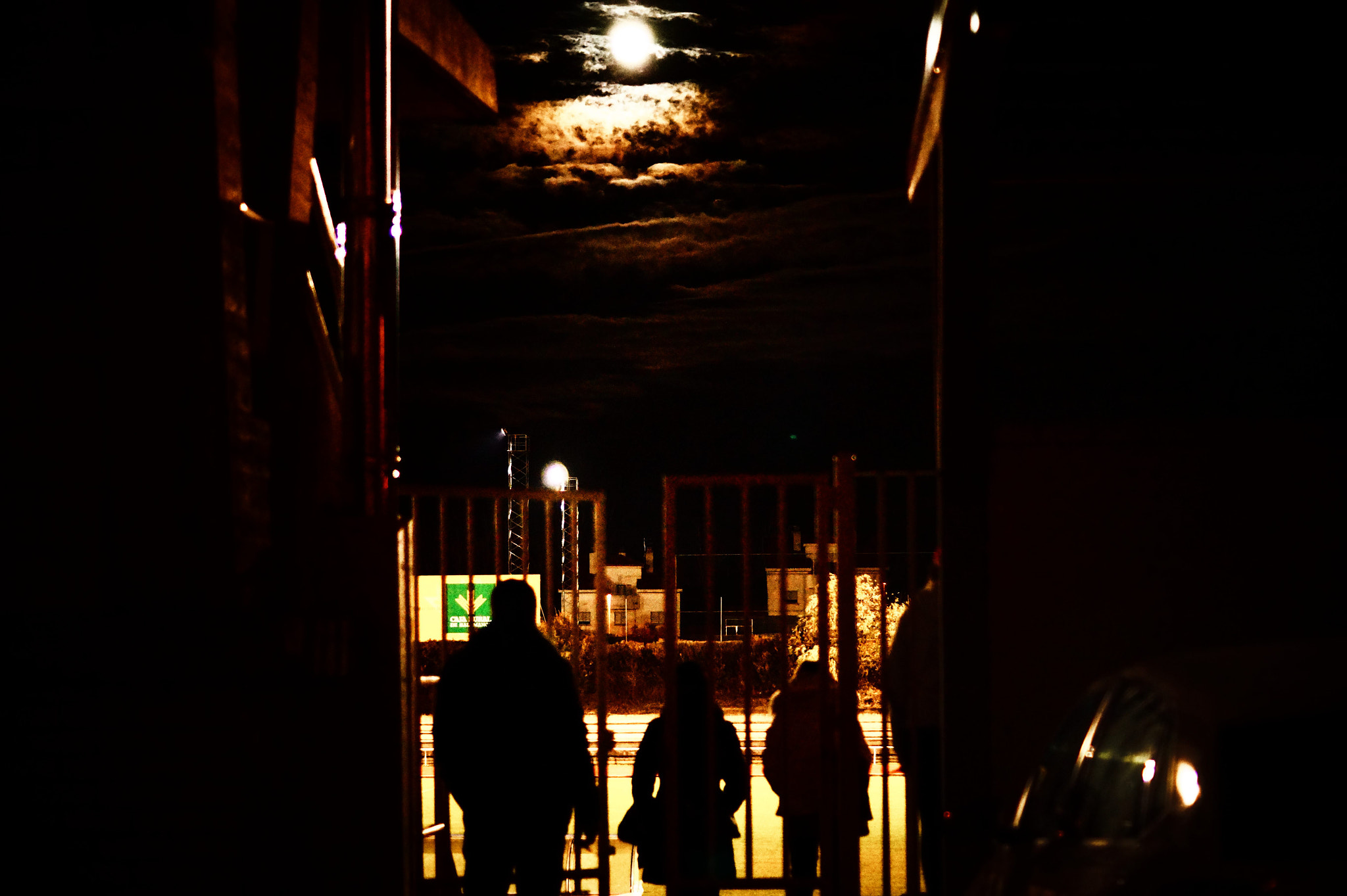 Sony SLT-A58 + Sony DT 50mm F1.8 SAM sample photo. Werewolf photography