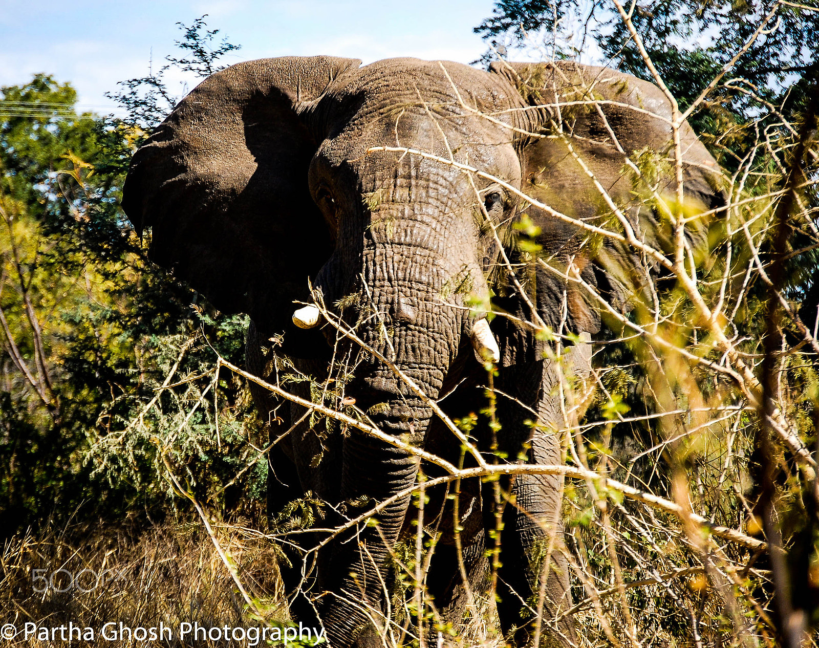 Nikon D40 sample photo. Africa photography