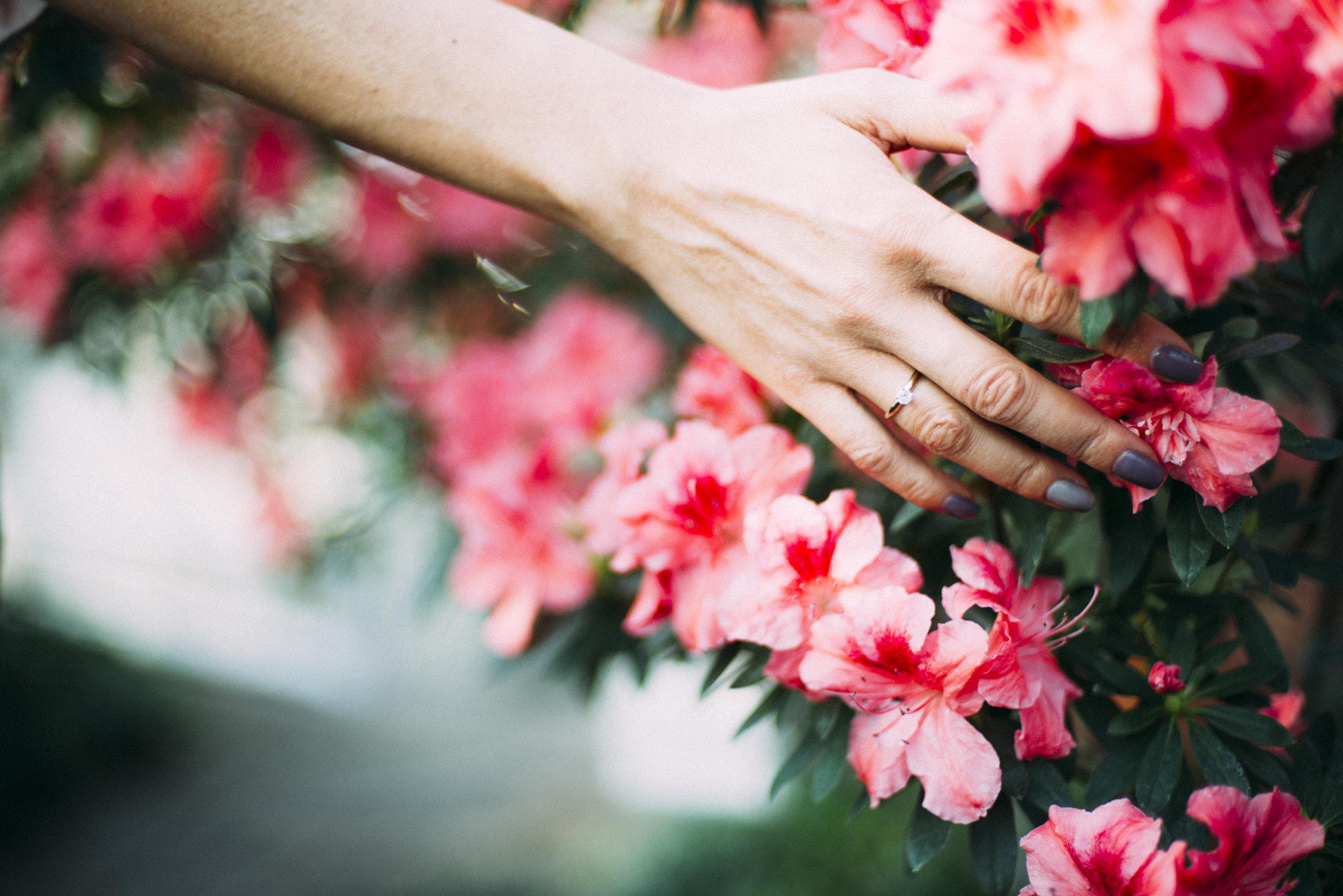 Nikon D600 + Nikon AF Nikkor 50mm F1.4D sample photo. Live the little things photography