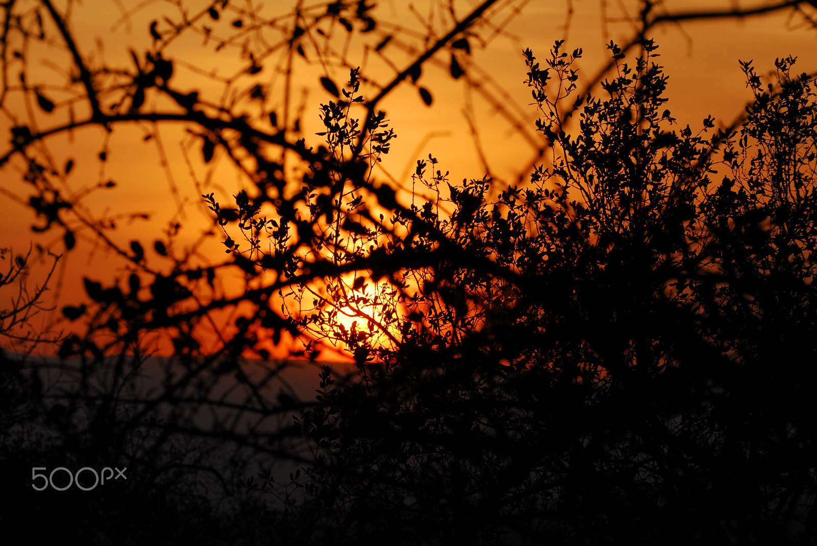 Nikon D200 sample photo. African sunset photography
