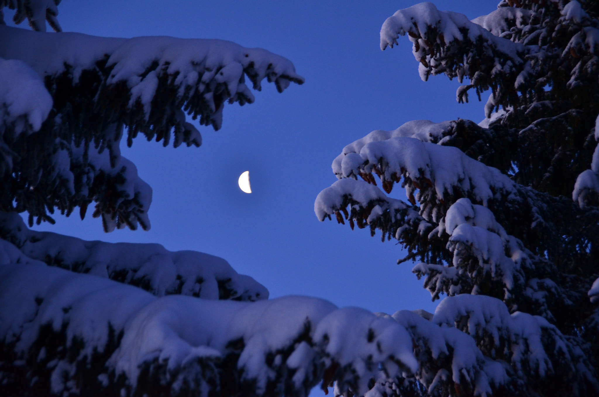 Sigma 18-250mm F3.5-6.3 DC Macro OS HSM sample photo. Mond, rossfeld photography
