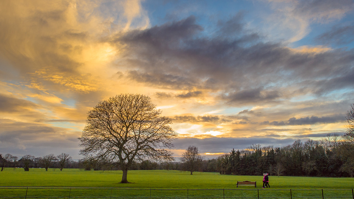 Nikon D3S sample photo. Evening walk photography