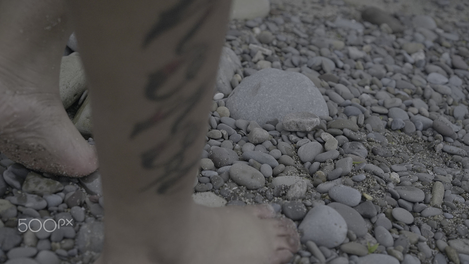 Sony a7S + Sony Sonnar T* FE 55mm F1.8 ZA sample photo. Inked photography