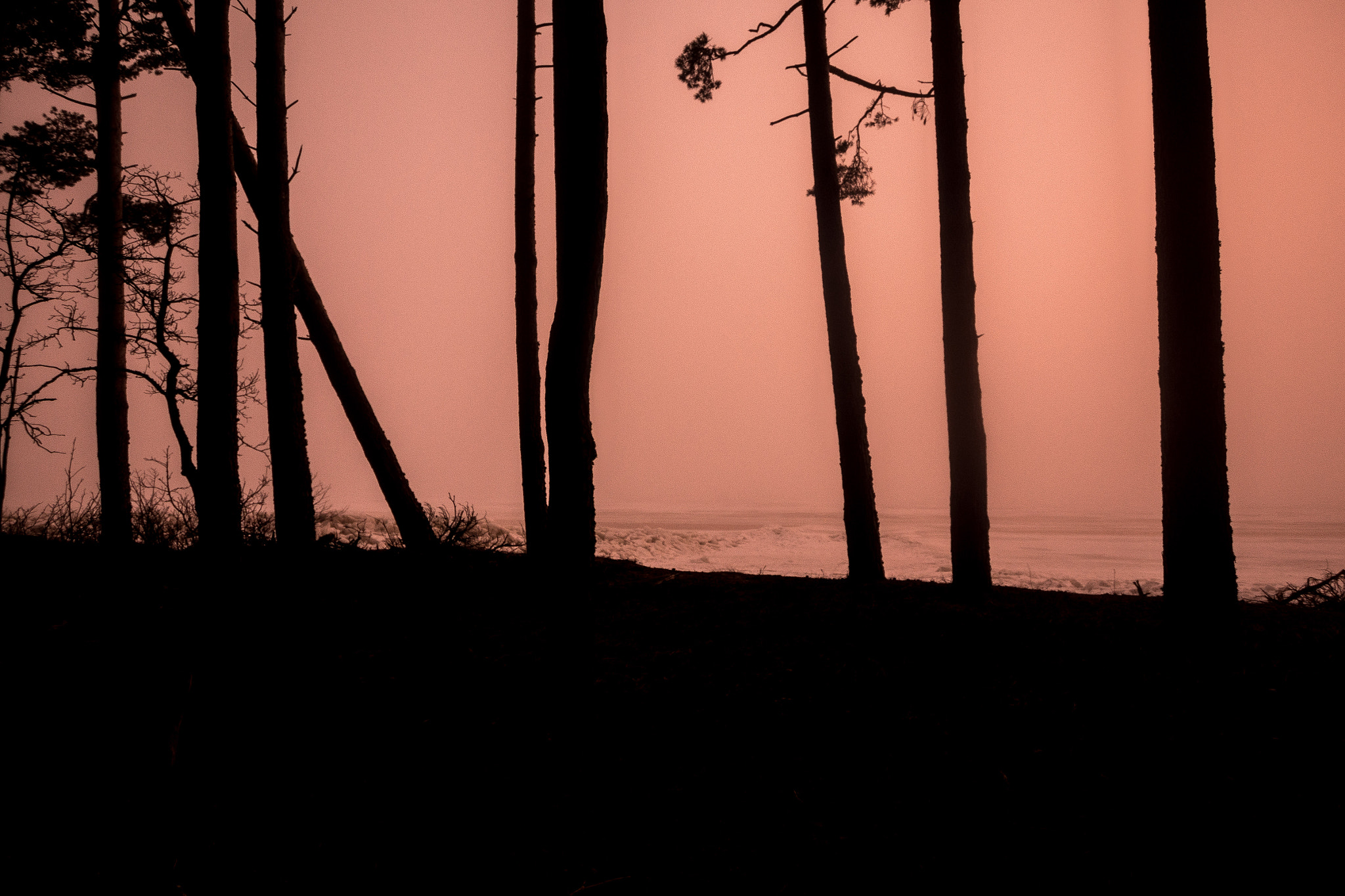 Nikon D7200 sample photo. Dark photography