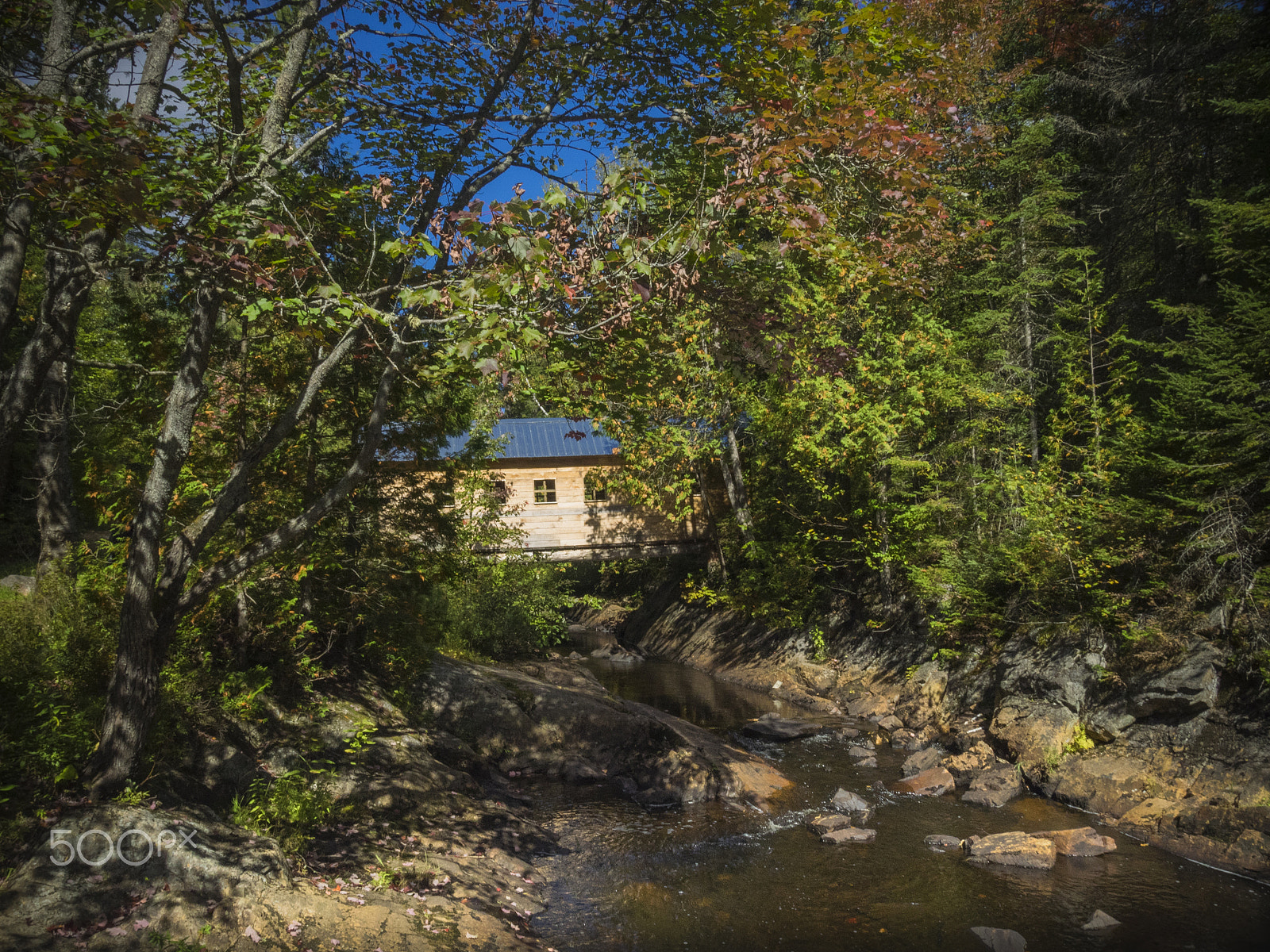 Olympus OM-D E-M1 sample photo. Covered bridge in the woods photography