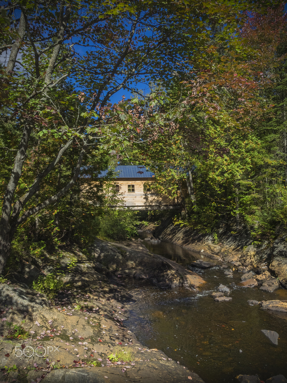 Olympus OM-D E-M1 sample photo. Covered bridge in the woods photography