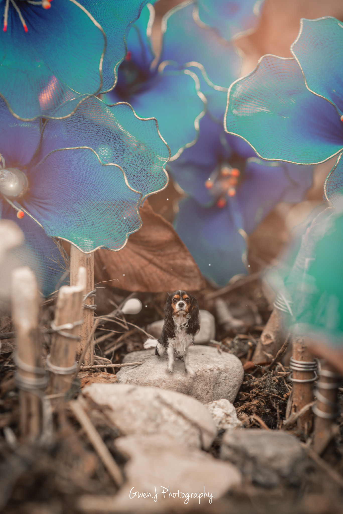 Nikon D800 sample photo. Guizmo miniature photography