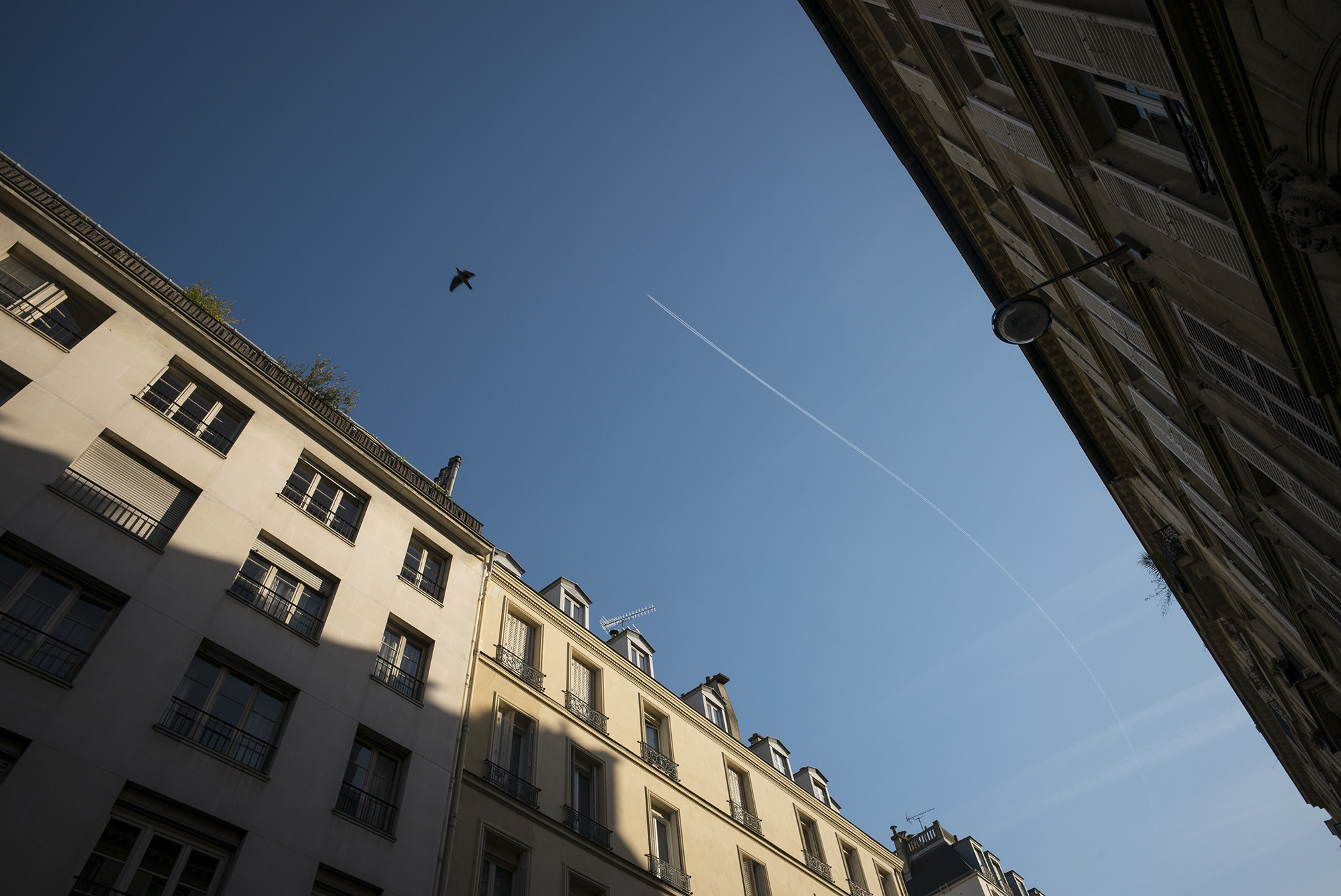 Leica Super-Elmar-M 21mm F3.4 ASPH sample photo. Run across photography