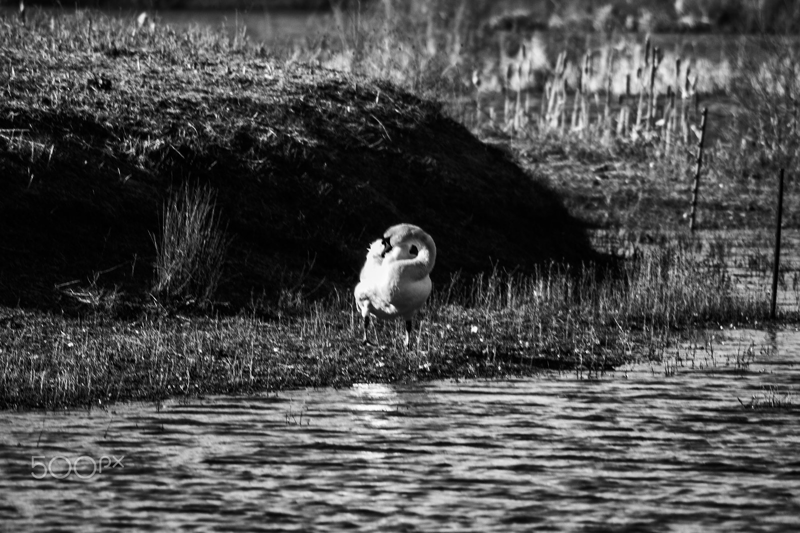 Canon EOS 100D (EOS Rebel SL1 / EOS Kiss X7) sample photo. On the lakeside photography