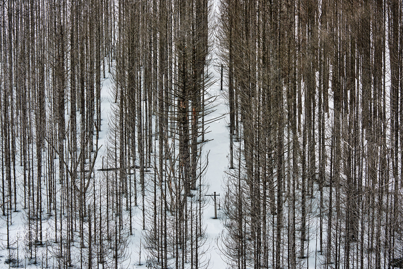 Nikon D810 sample photo. White lakeside photography
