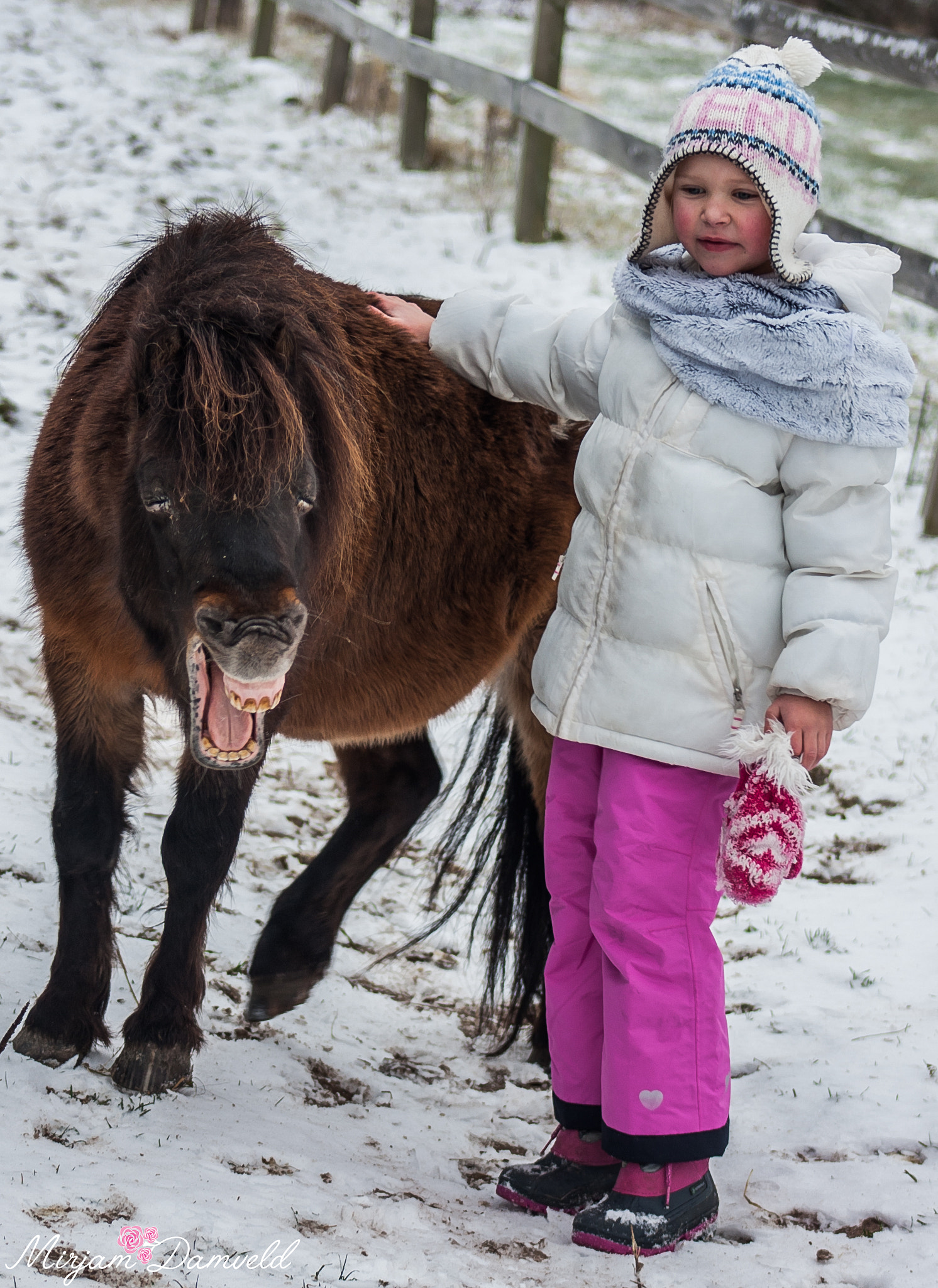 Canon EF 75-300mm f/4-5.6 USM sample photo. Mr.ed loves to smile for the cam photography