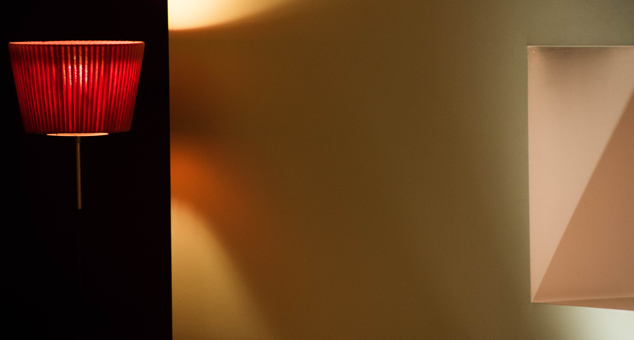 Nikon AF-S Nikkor 70-200mm F2.8G ED VR II sample photo. Dsc photography