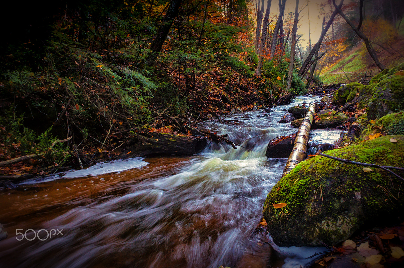 Sony Alpha NEX-C3 + Sony E 18-55mm F3.5-5.6 OSS sample photo. Mossy river photography