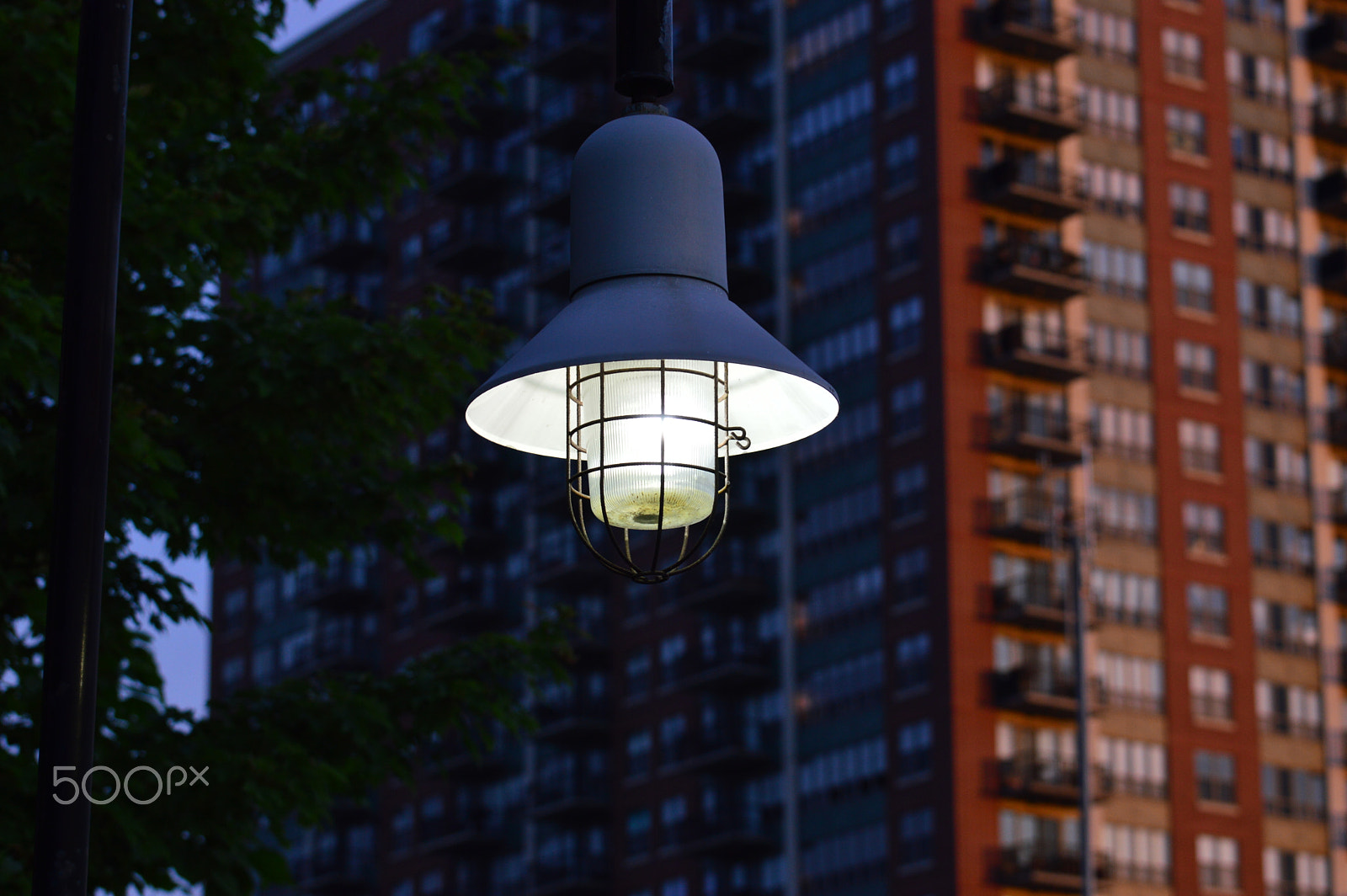Nikon D3200 sample photo. Illuminated photography