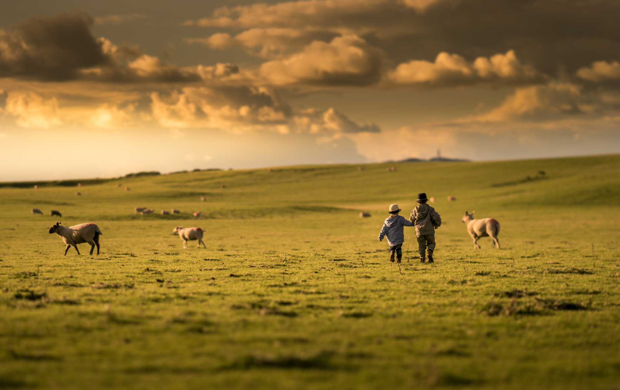 Sony Sonnar T* 135mm F1.8 ZA sample photo. My boys in ireland photography