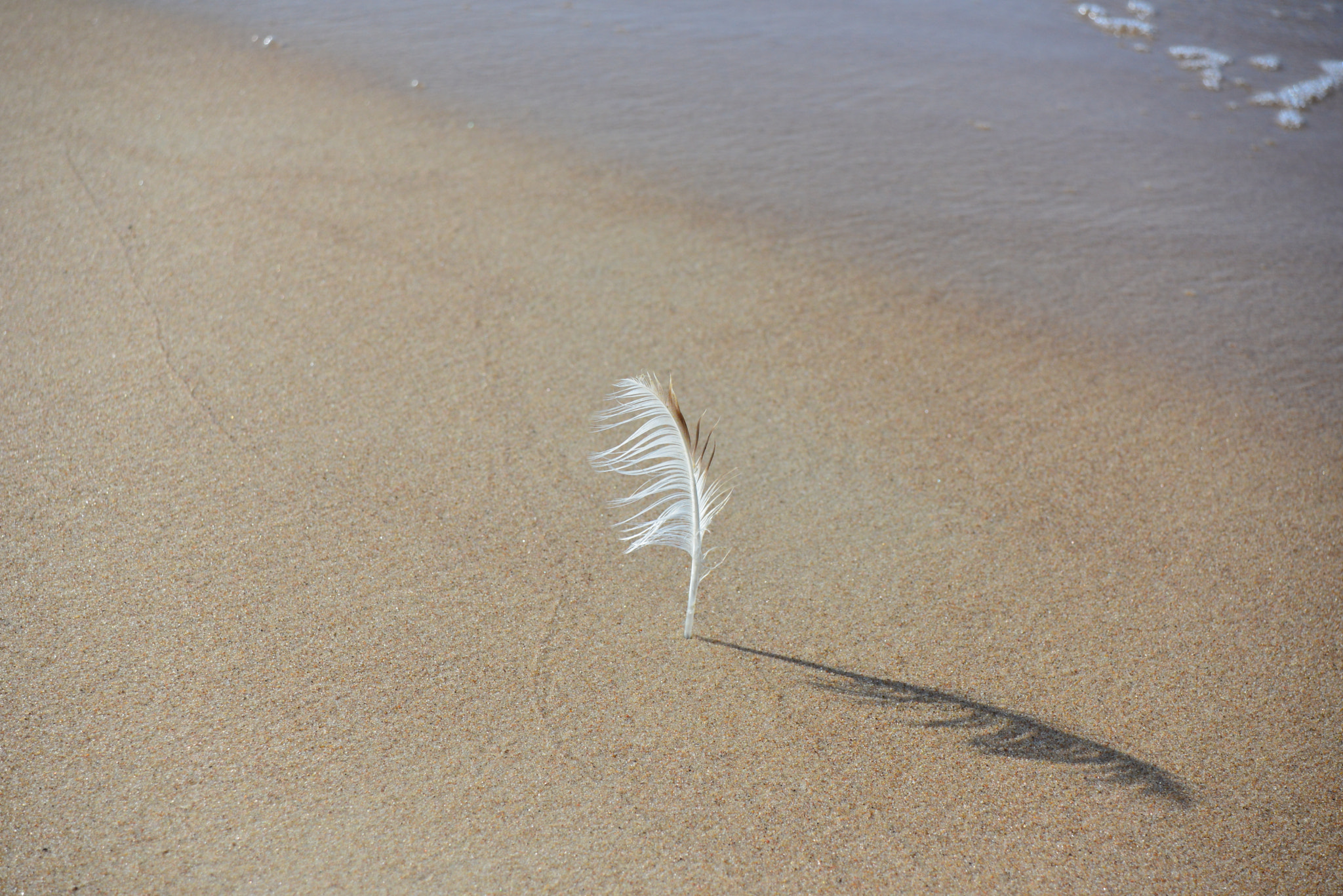 AF Zoom-Nikkor 28-80mm f/3.5-5.6D sample photo. Aaa photography