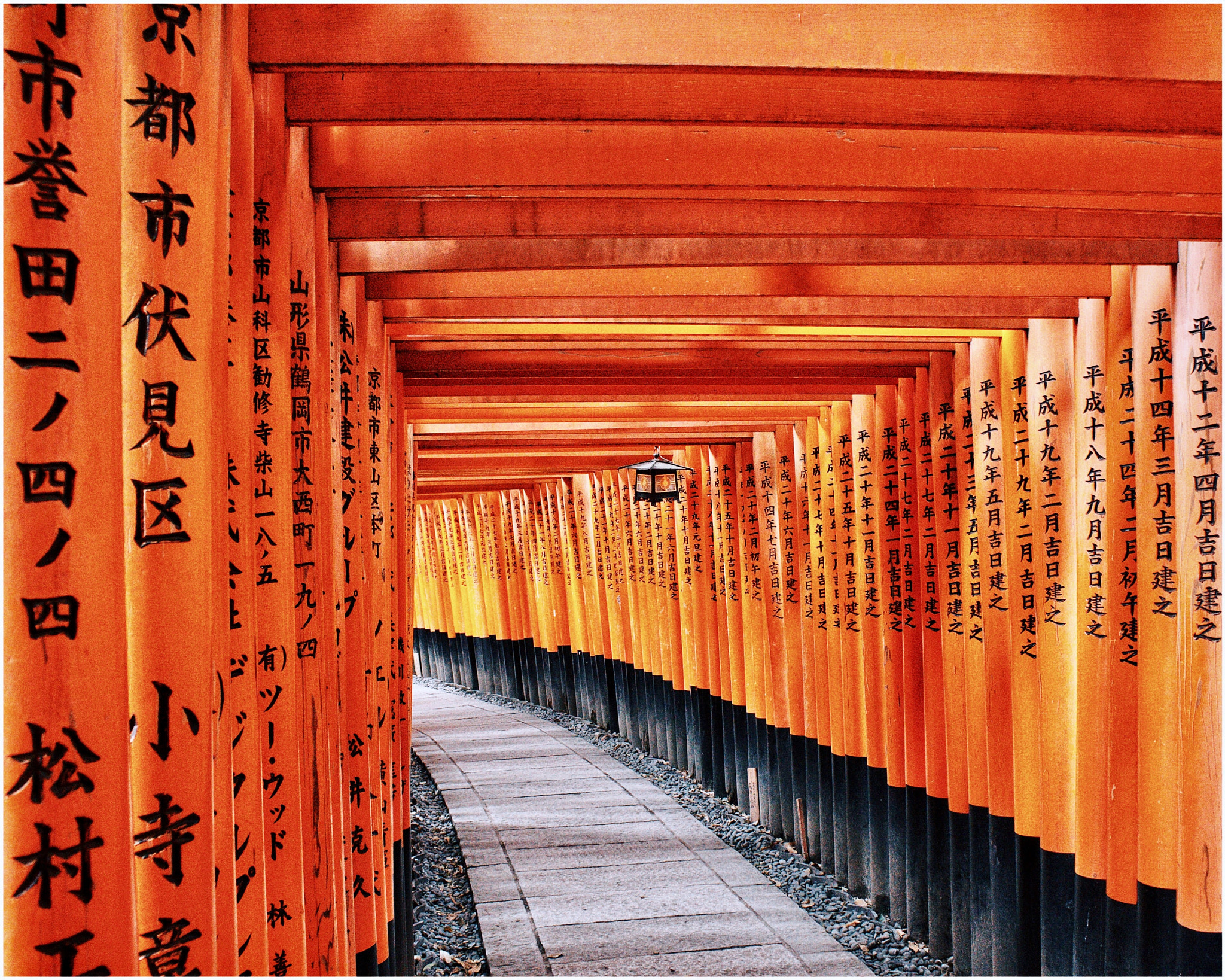 Canon EOS 500D (EOS Rebel T1i / EOS Kiss X3) sample photo. Not all those who wander are lost. photography