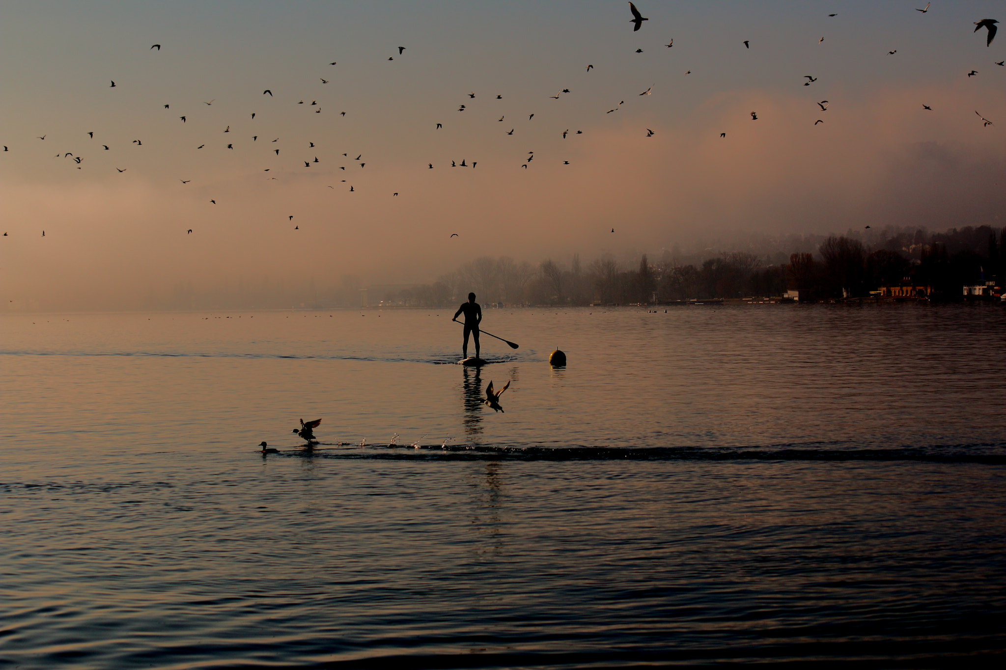 Canon EF-S 55-250mm F4-5.6 IS sample photo. Morning moments at the lake of zurich photography