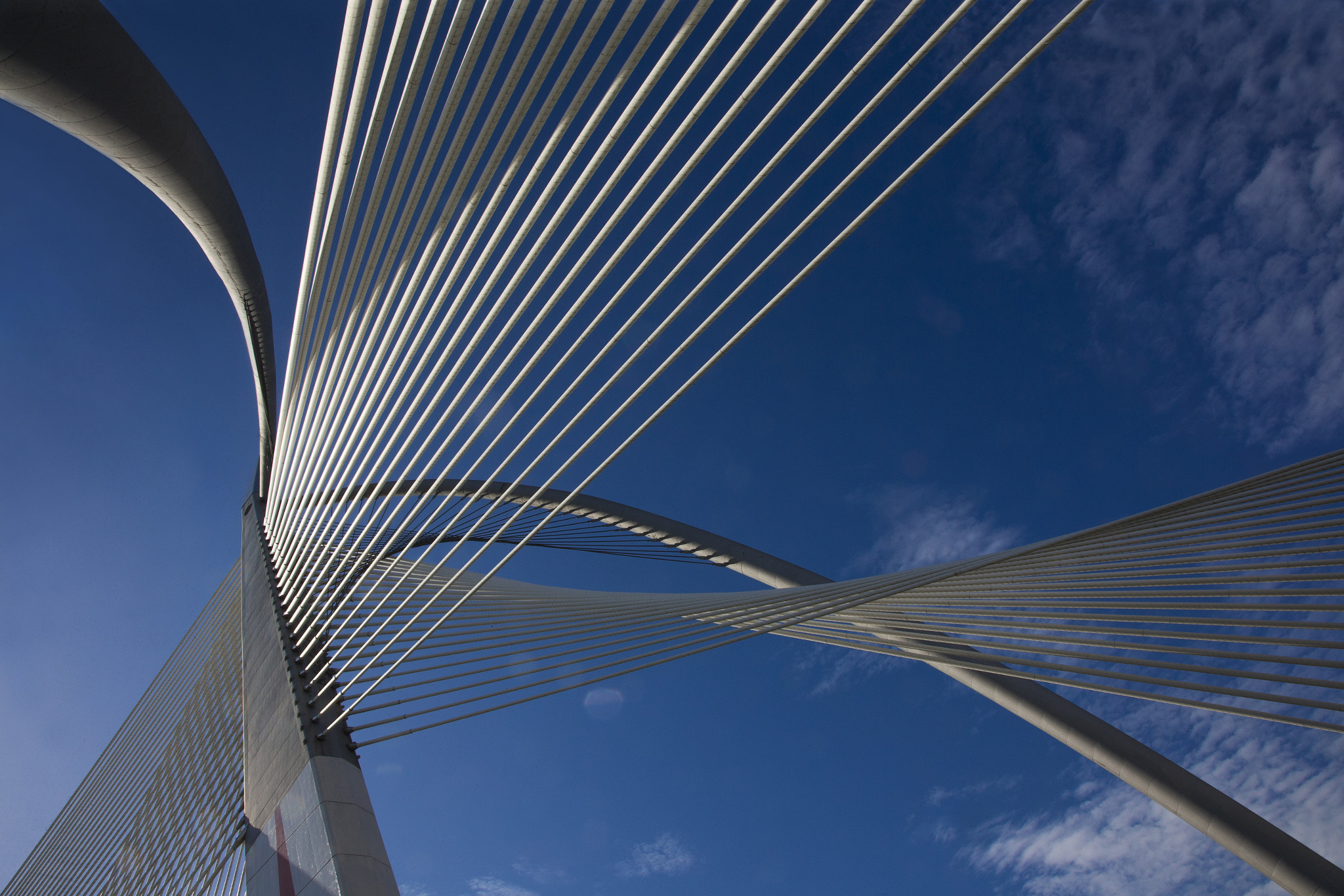 Canon EOS-1D X sample photo. Wawasan bridge in putrajaya photography